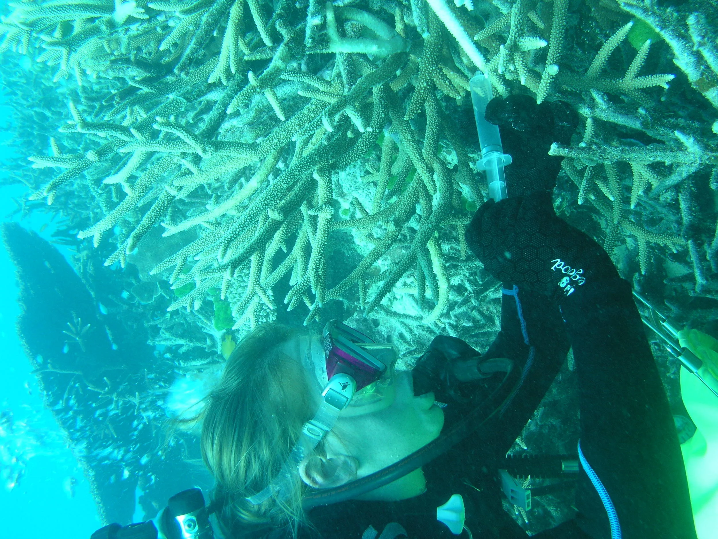 P1010047.JPG