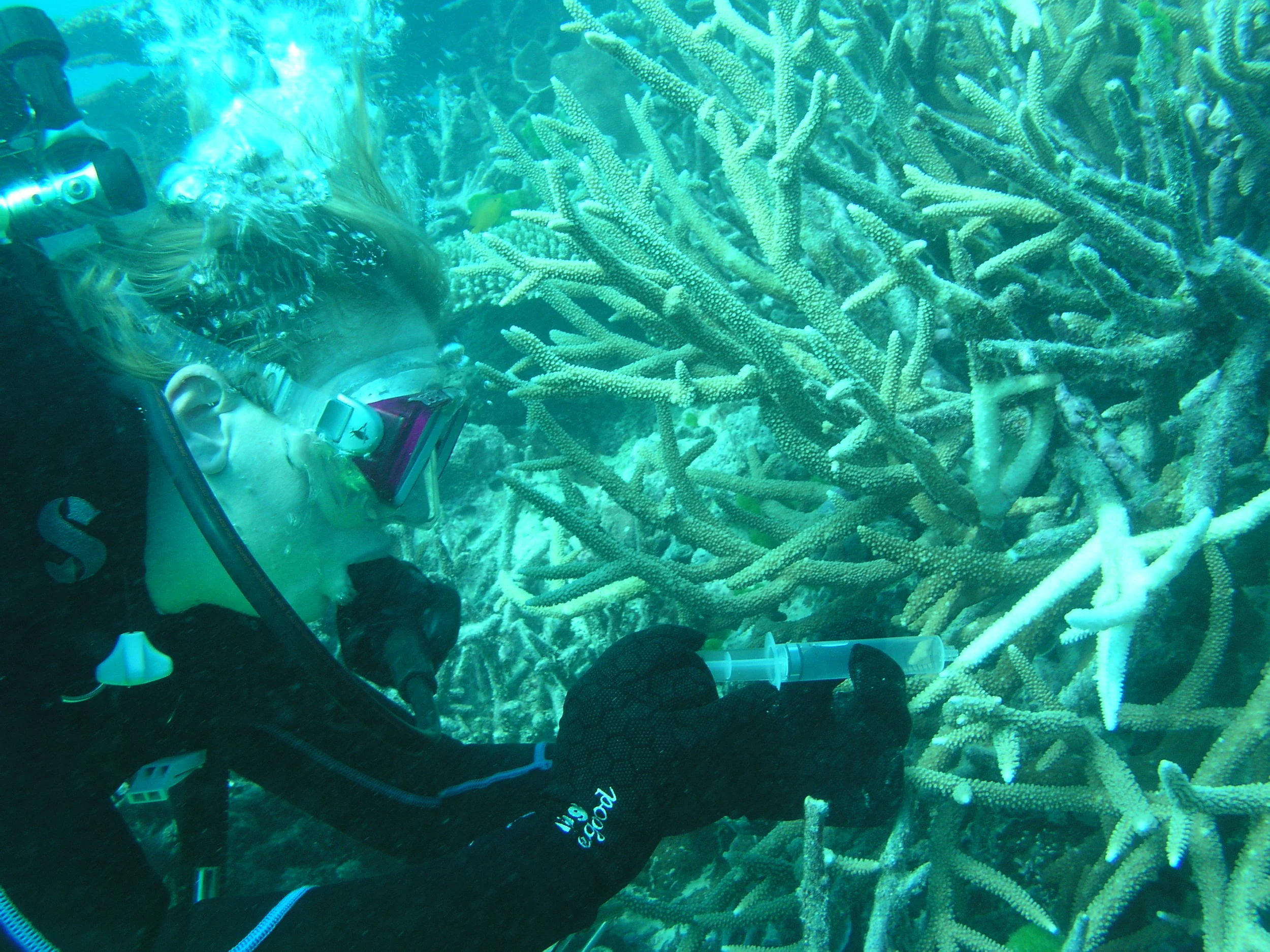 P1010049.JPG