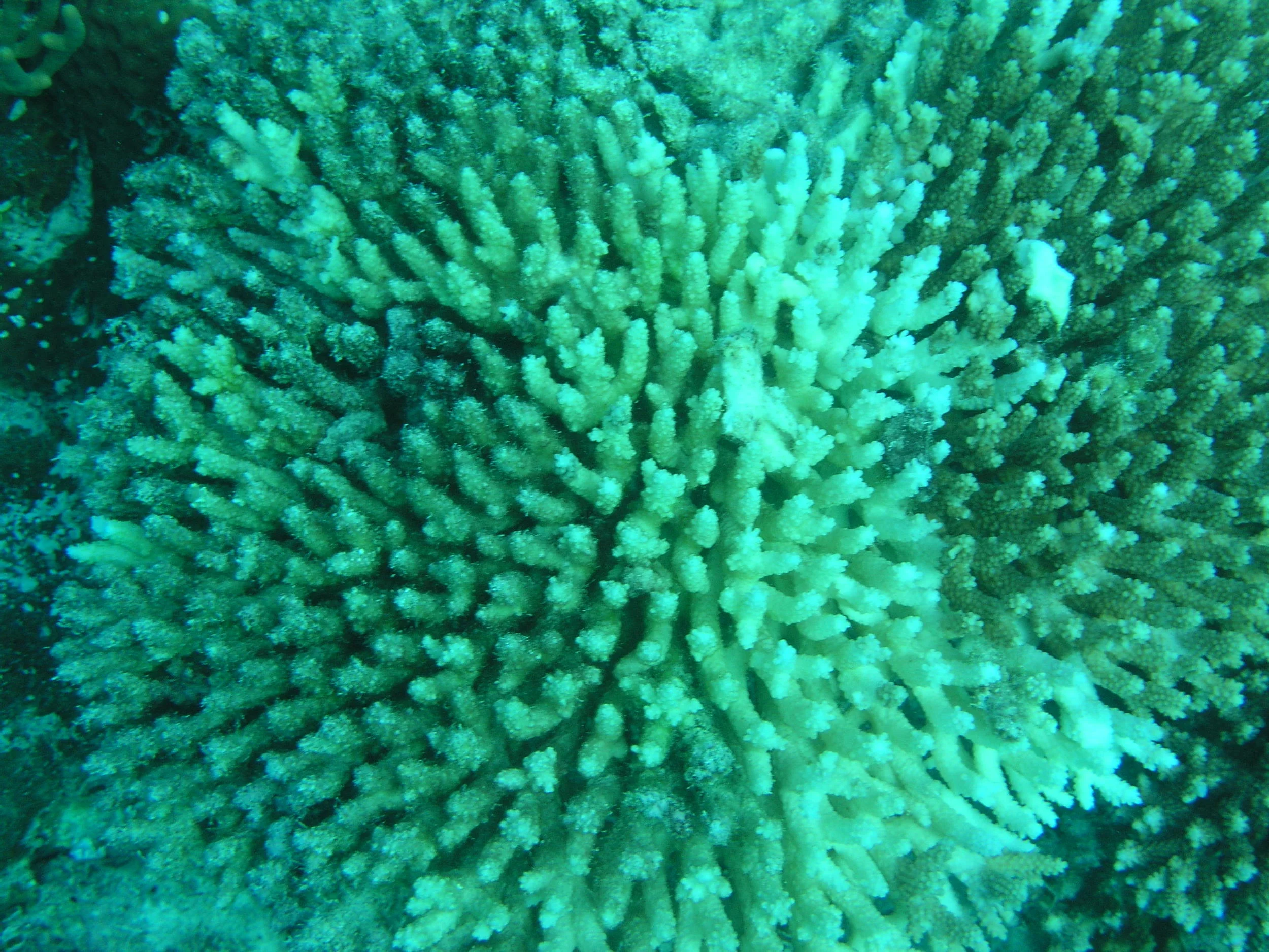 P1010052.JPG