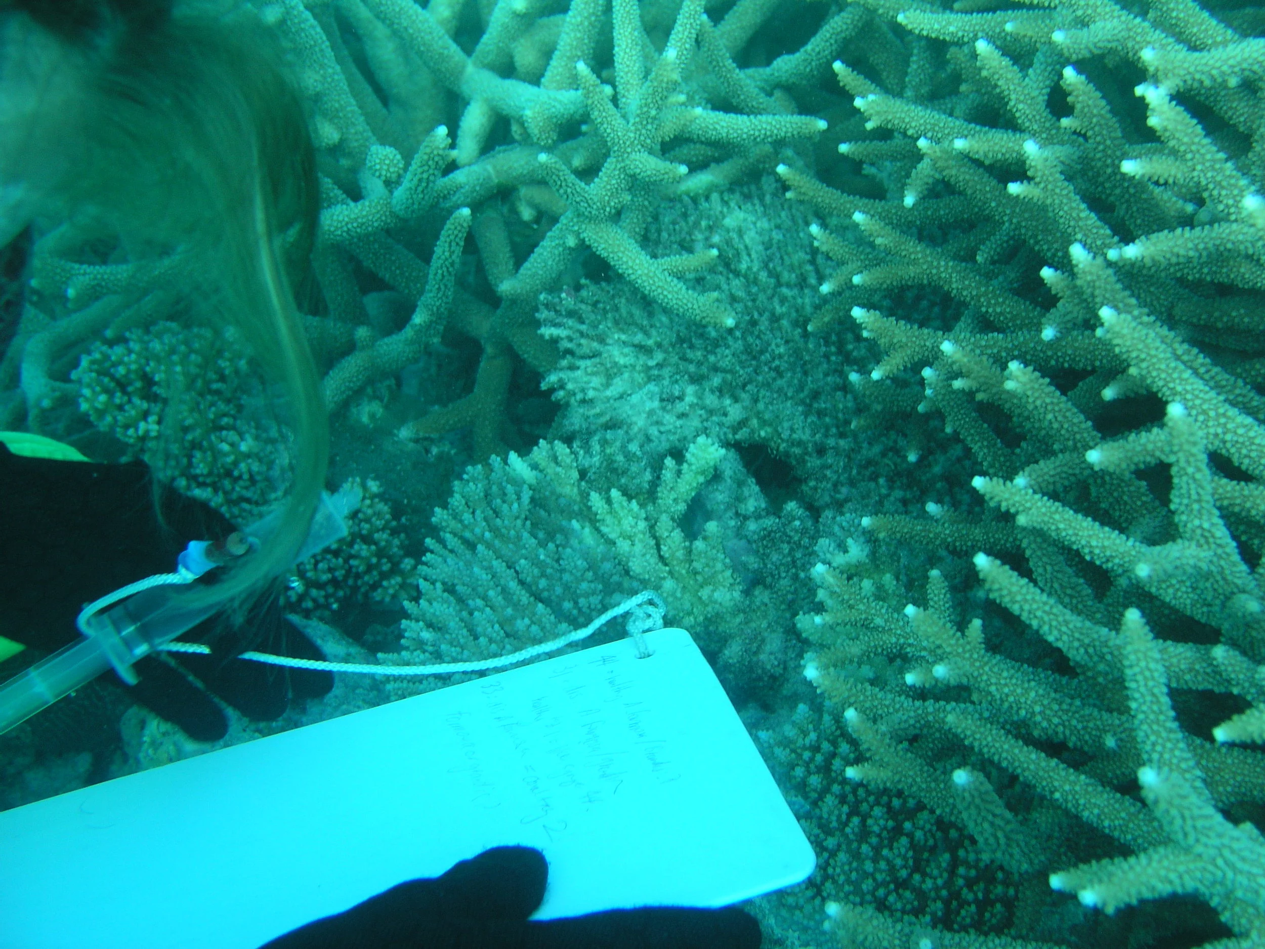 P1010055.JPG