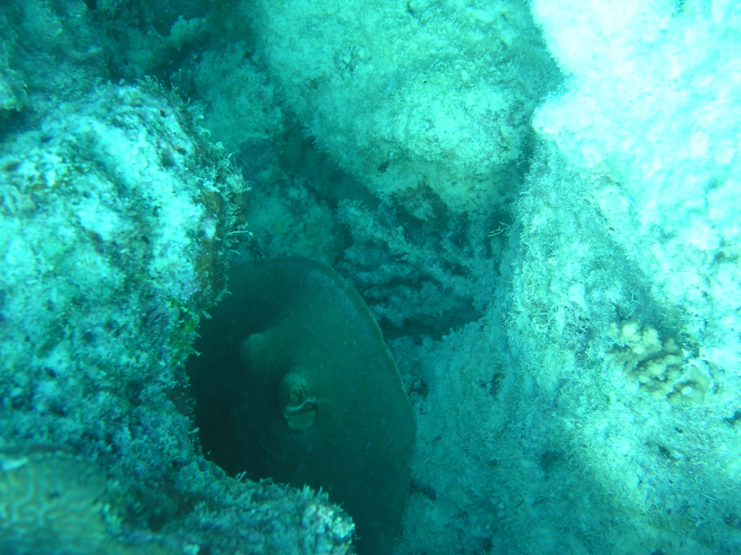 P1010056.JPG