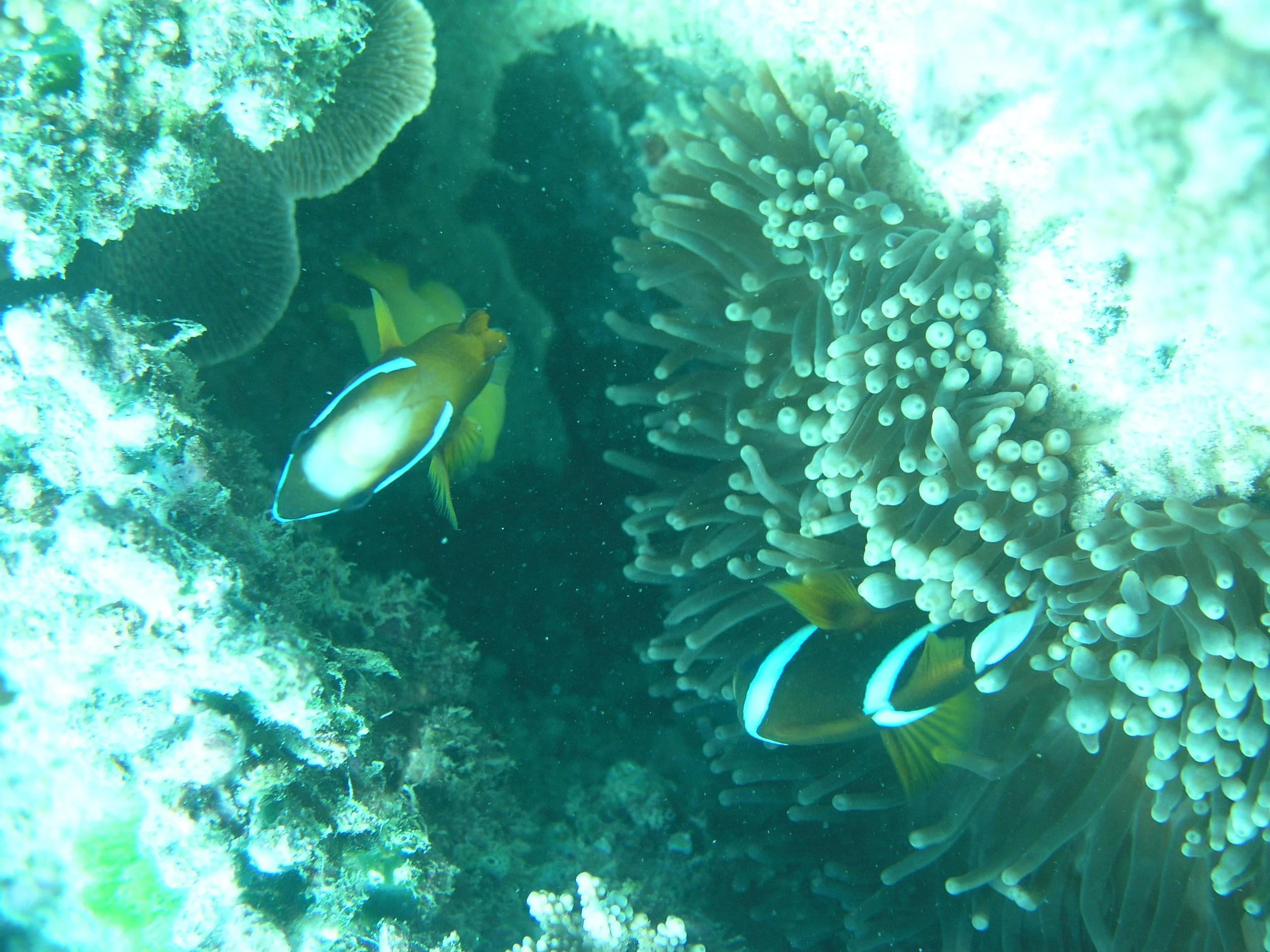 P1010065.JPG