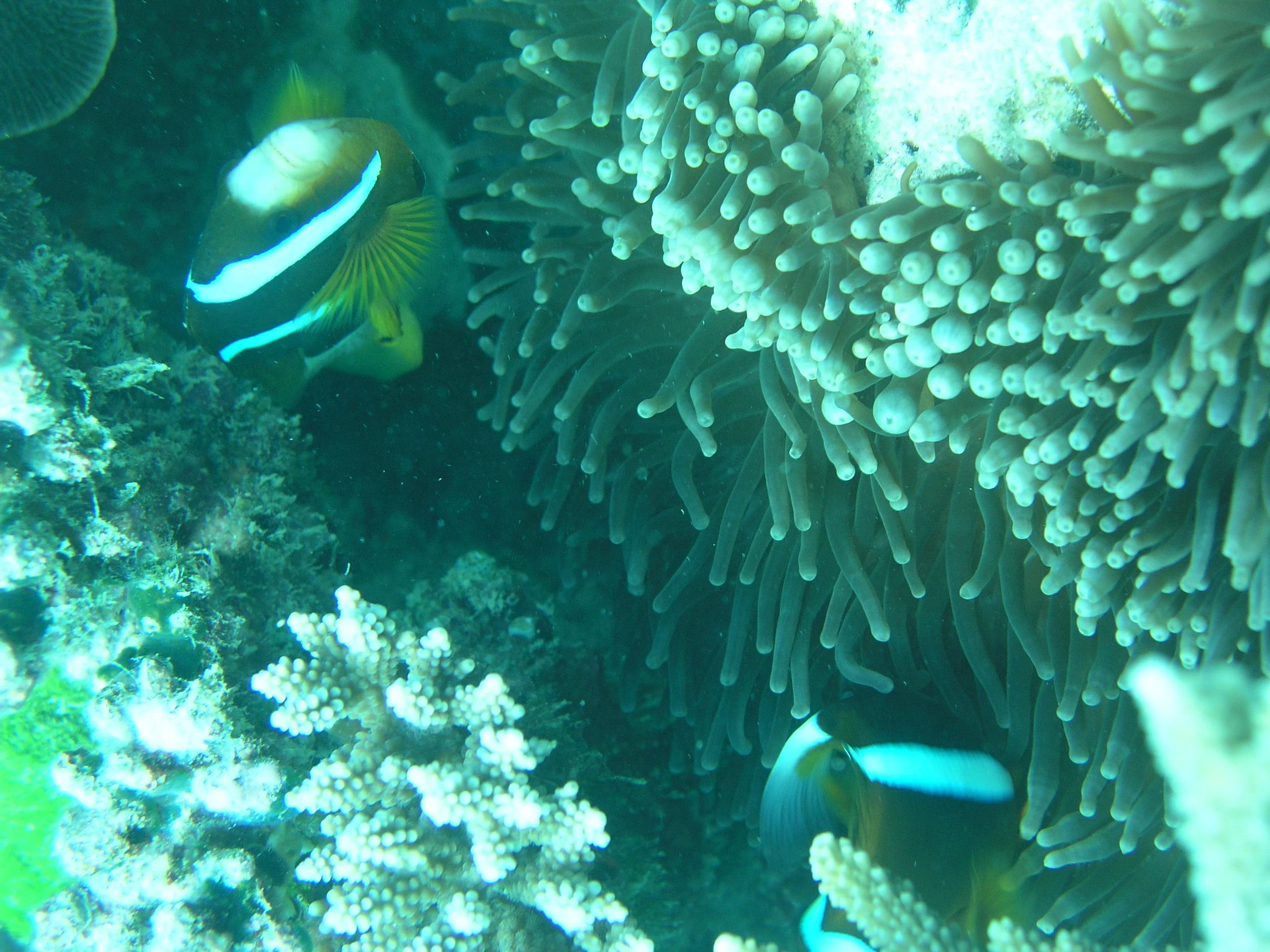 P1010066.JPG