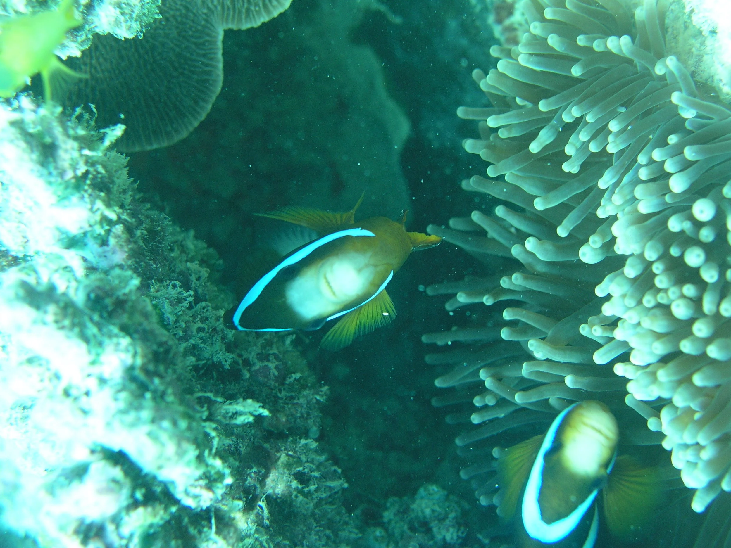 P1010067.JPG