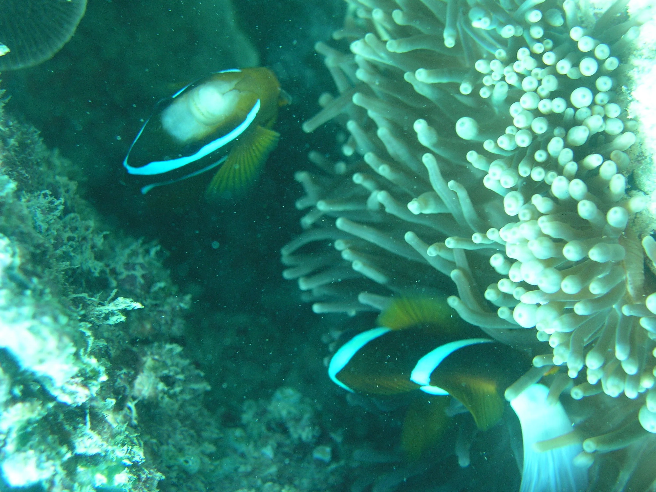 P1010068.JPG