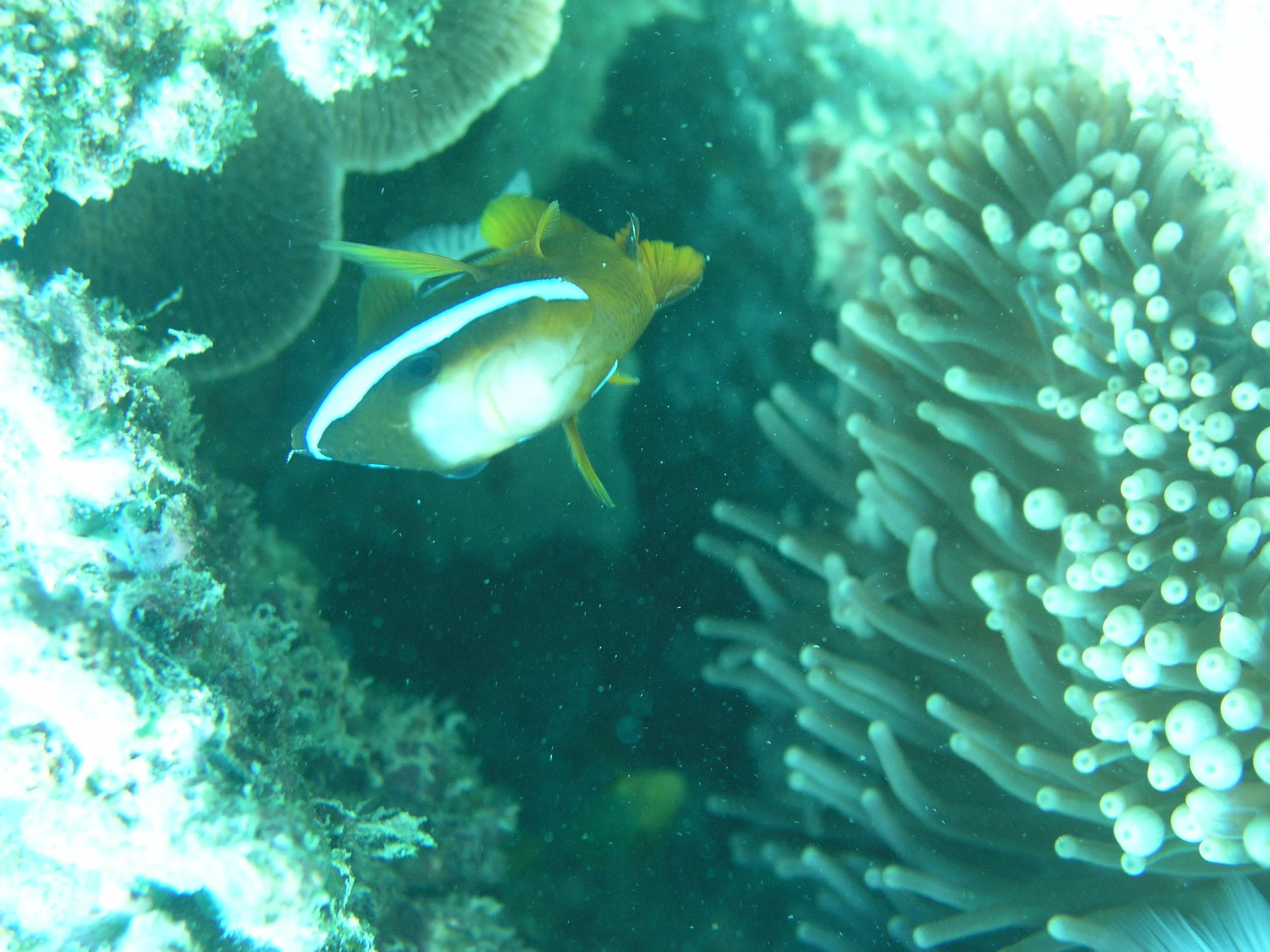P1010069.JPG