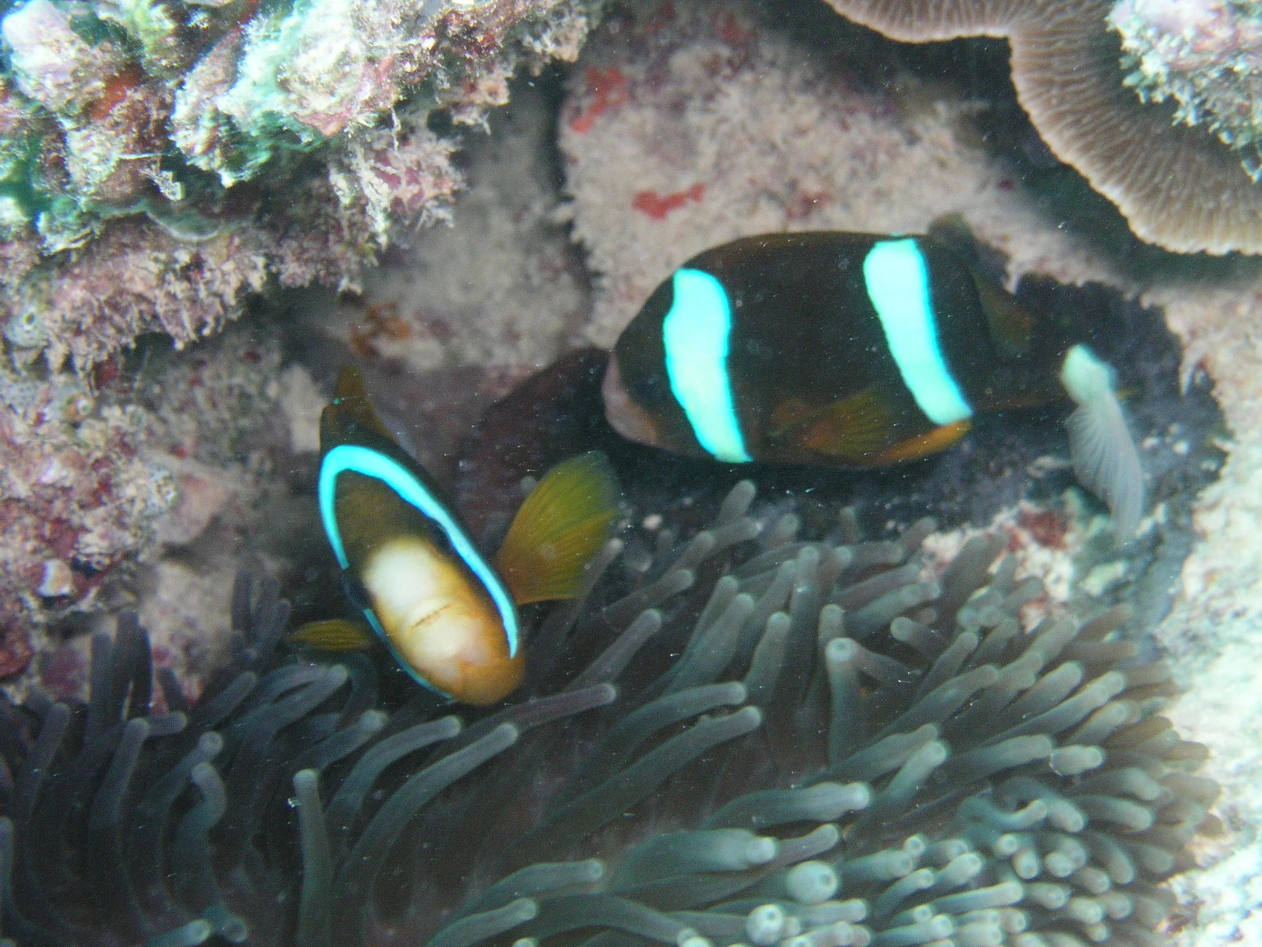 P1010070.JPG