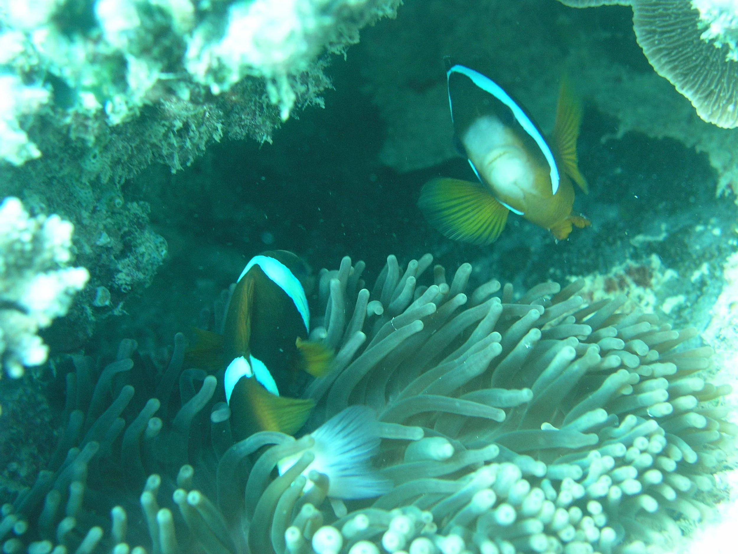 P1010071.JPG