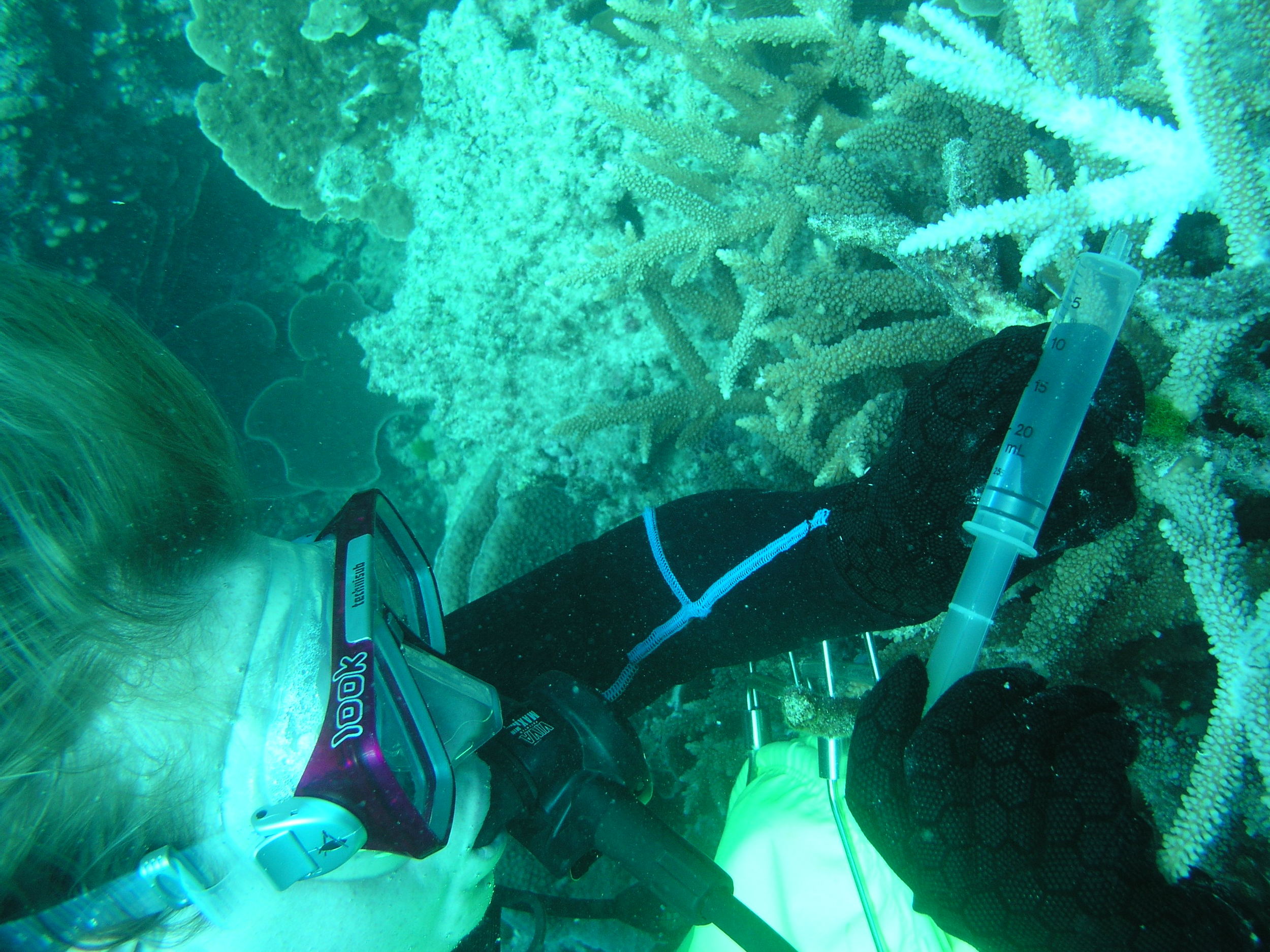 P1010086.JPG