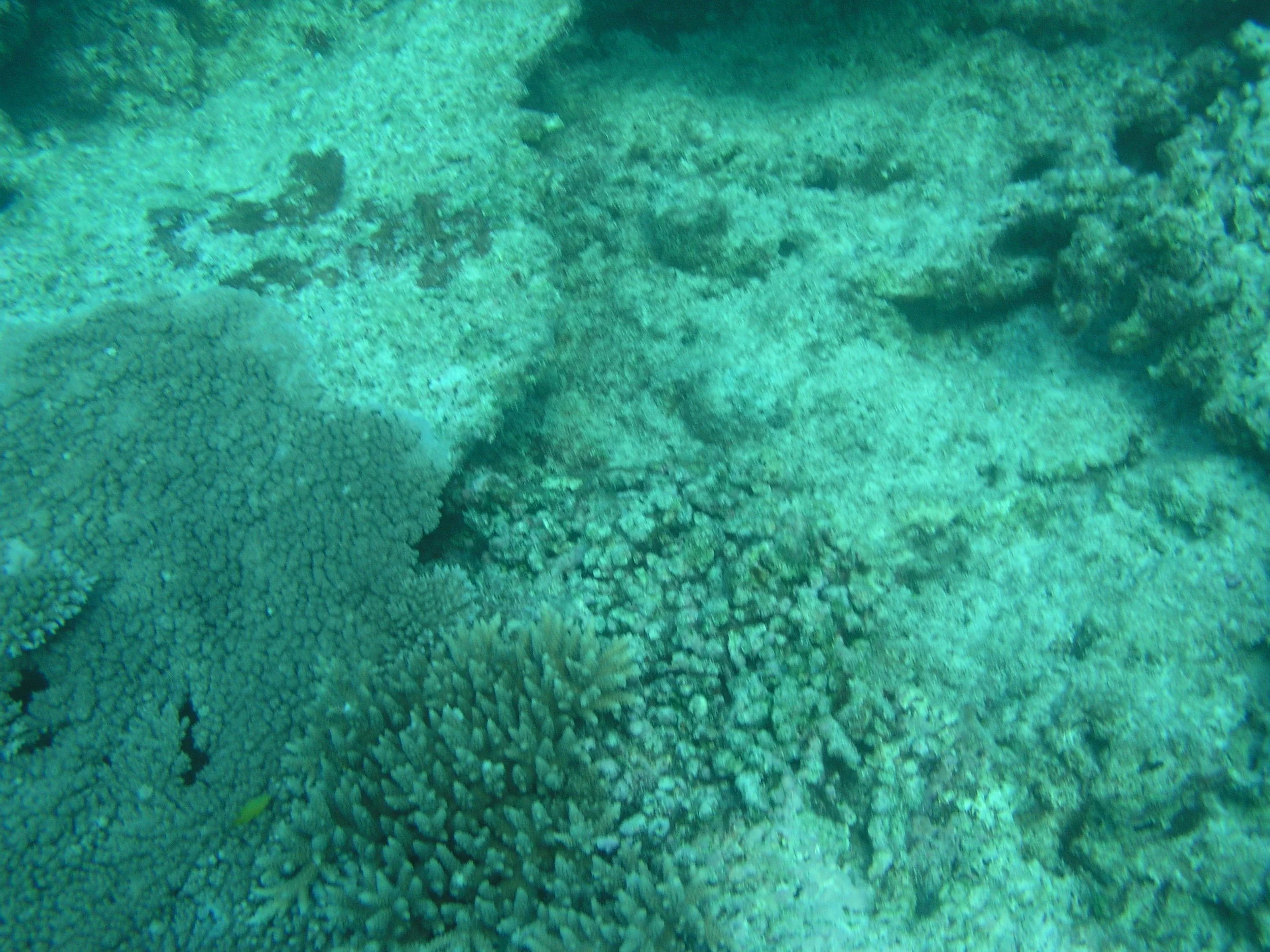 P1010087.JPG
