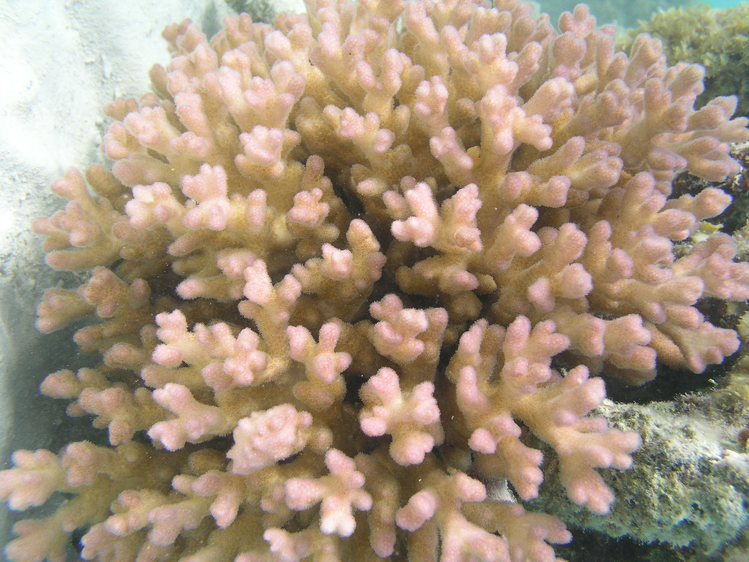 P1010101.JPG