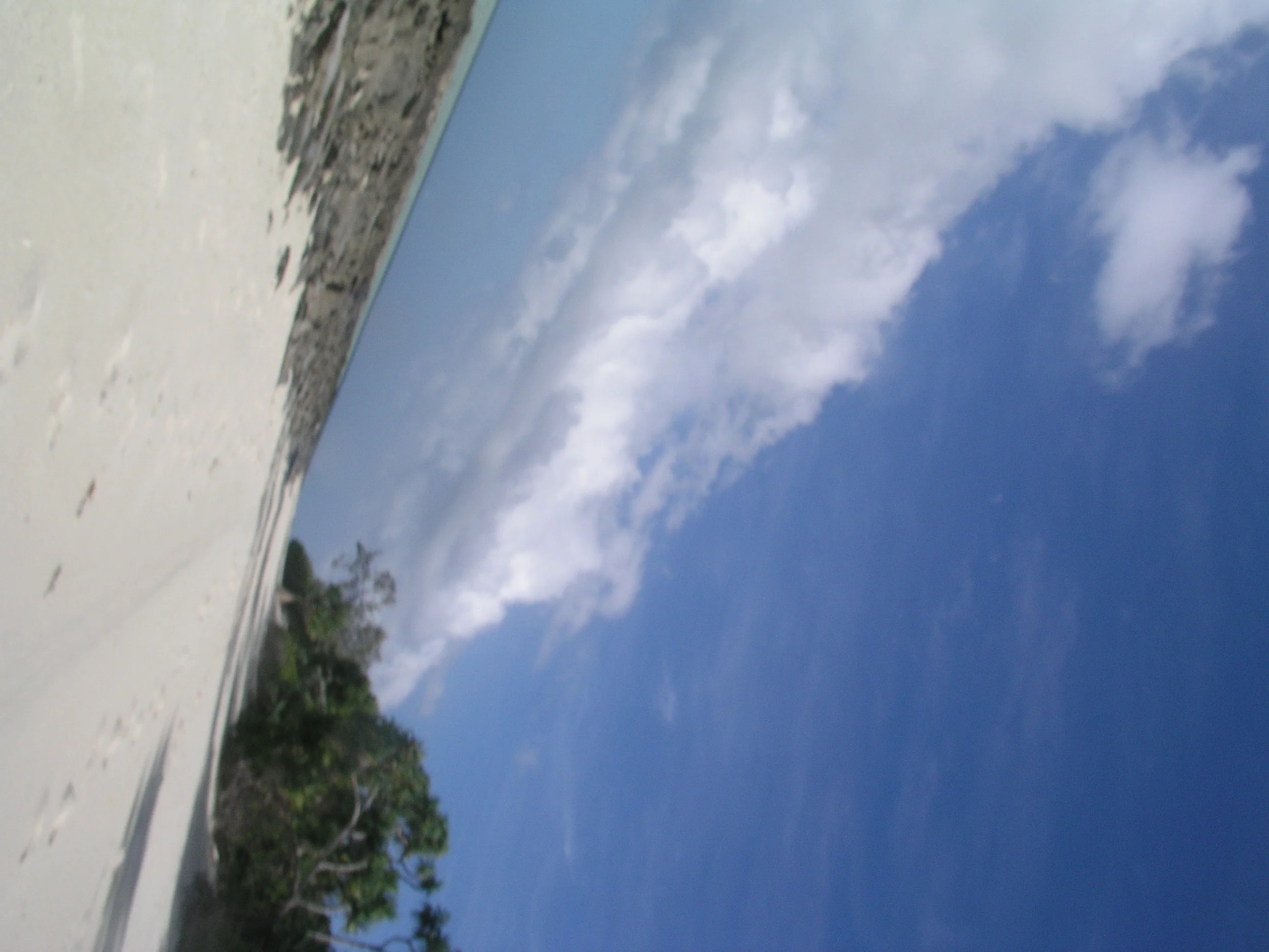 P1010106.JPG