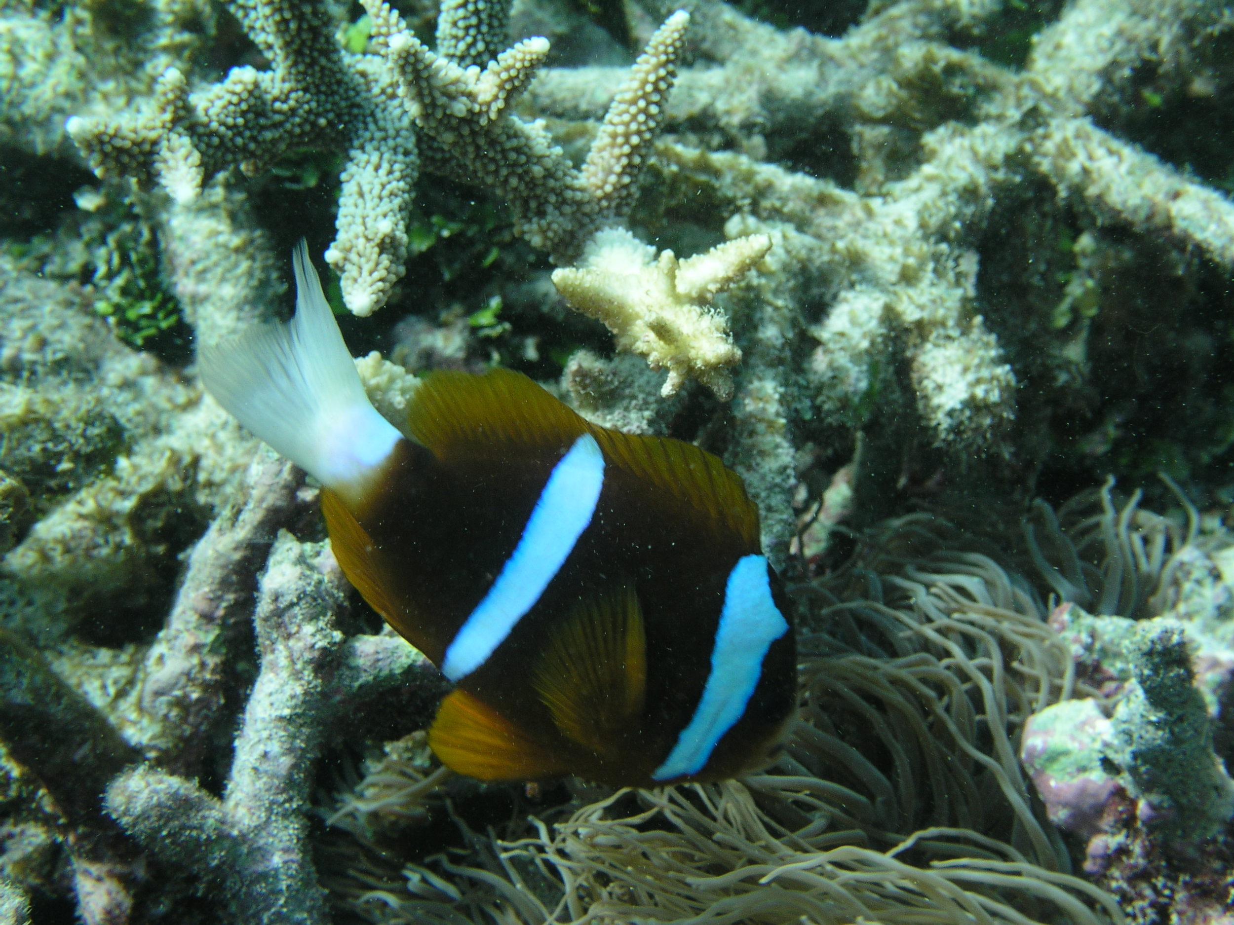 P1010123.JPG