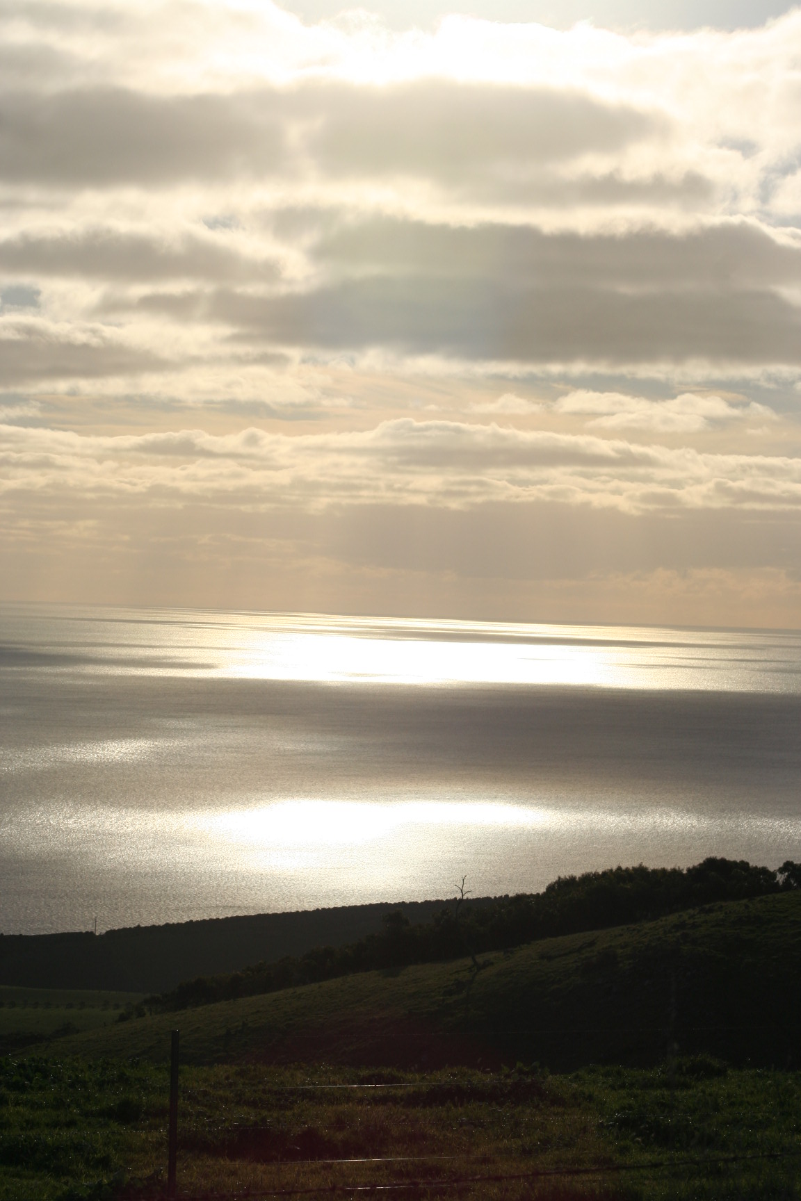 Photo field trip 136.jpg