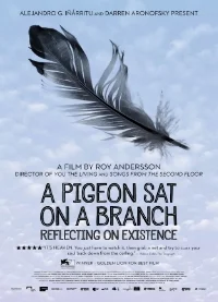February 2016 - A Pigeon Sat on a Branch Reflecting on Existence (Sweden)