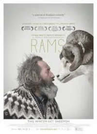 May 2016 - Rams (Iceland)