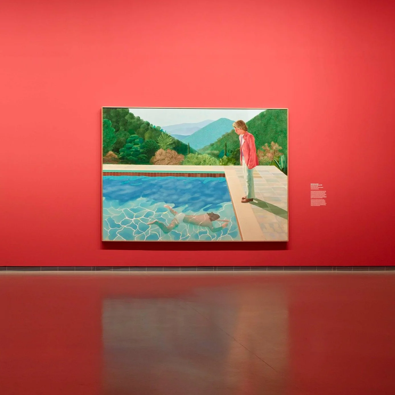 David Hockney 25