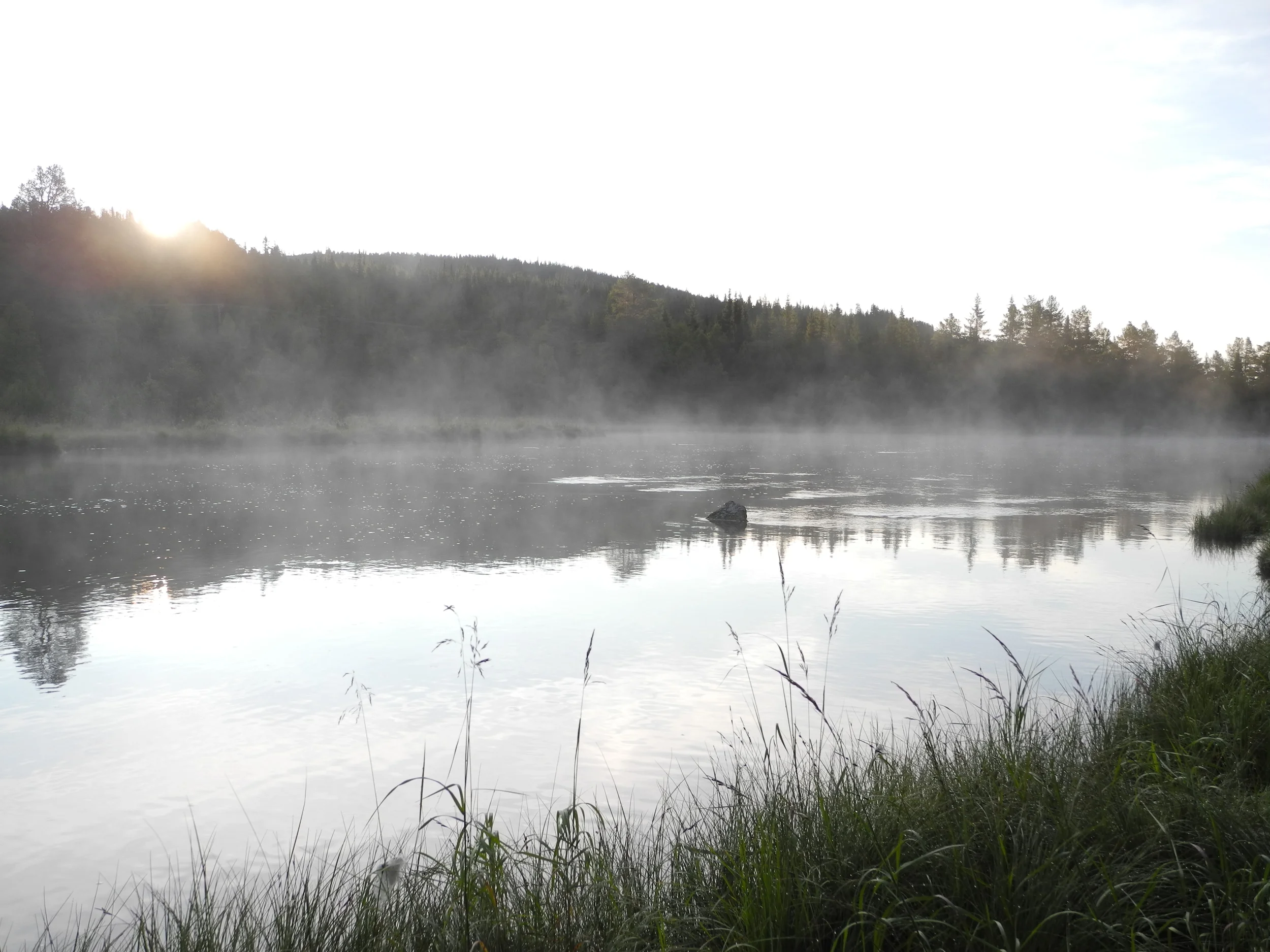DSCN0599.JPG