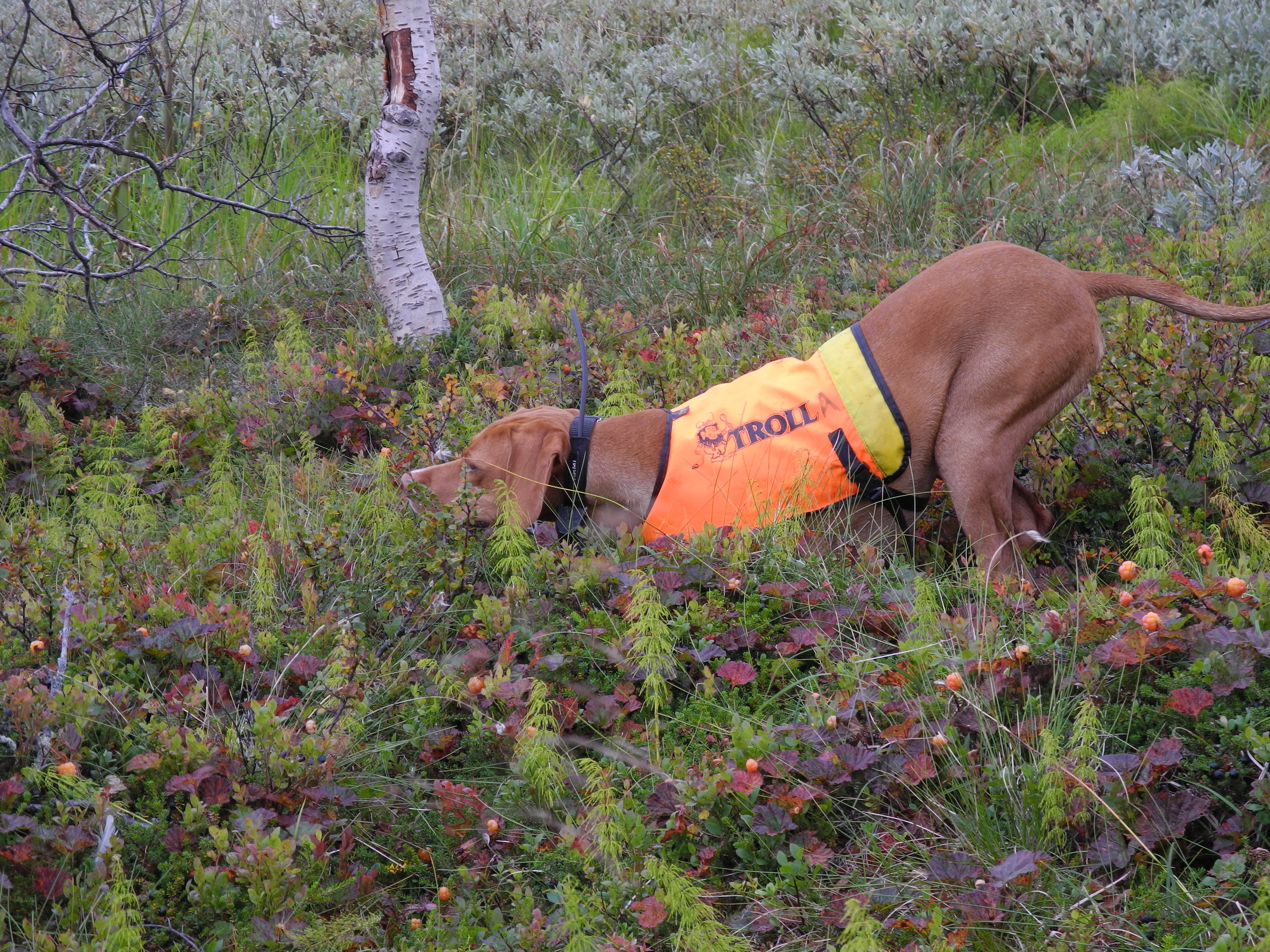 DSCN0612.JPG