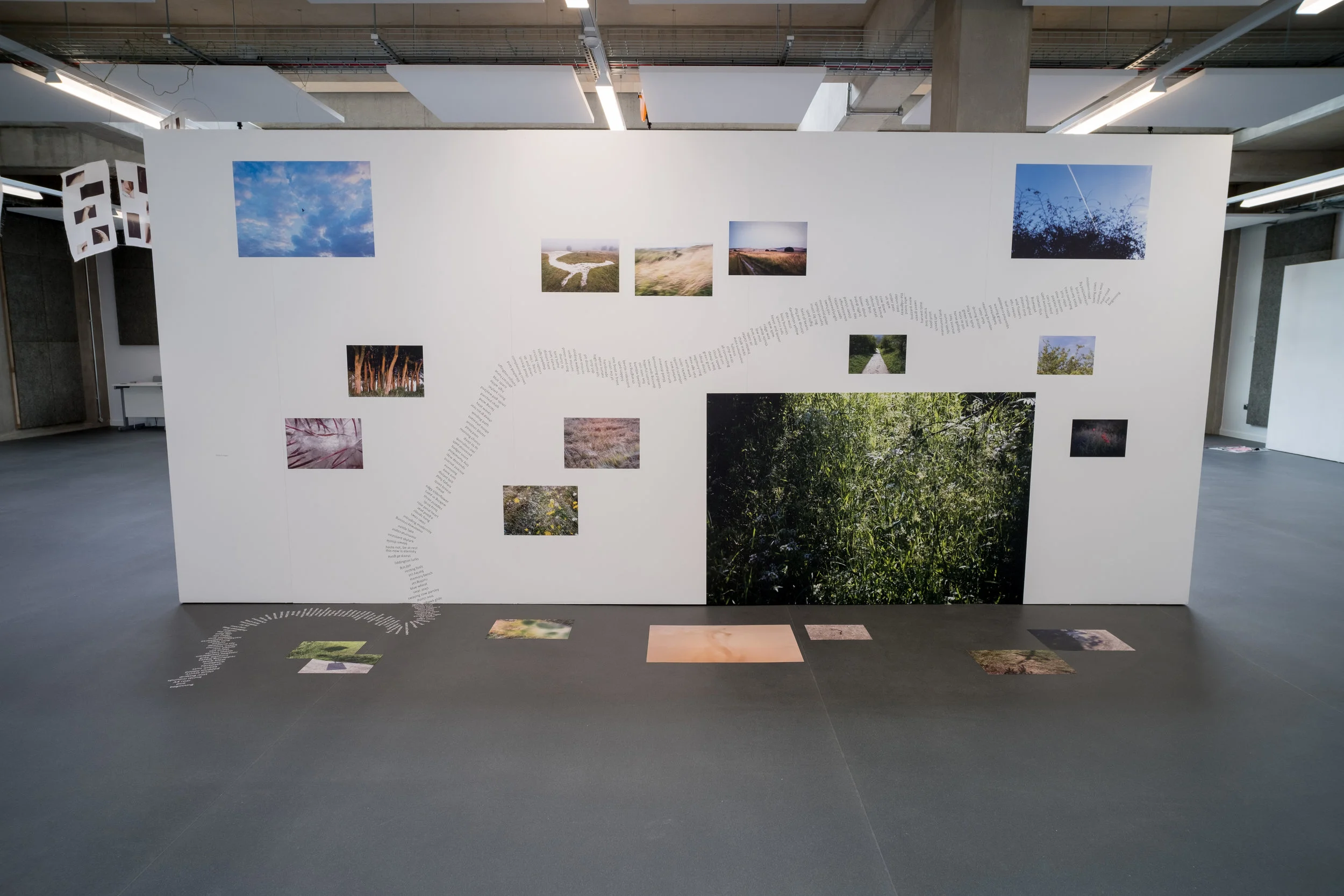 Tellers_Bower-9.jpg