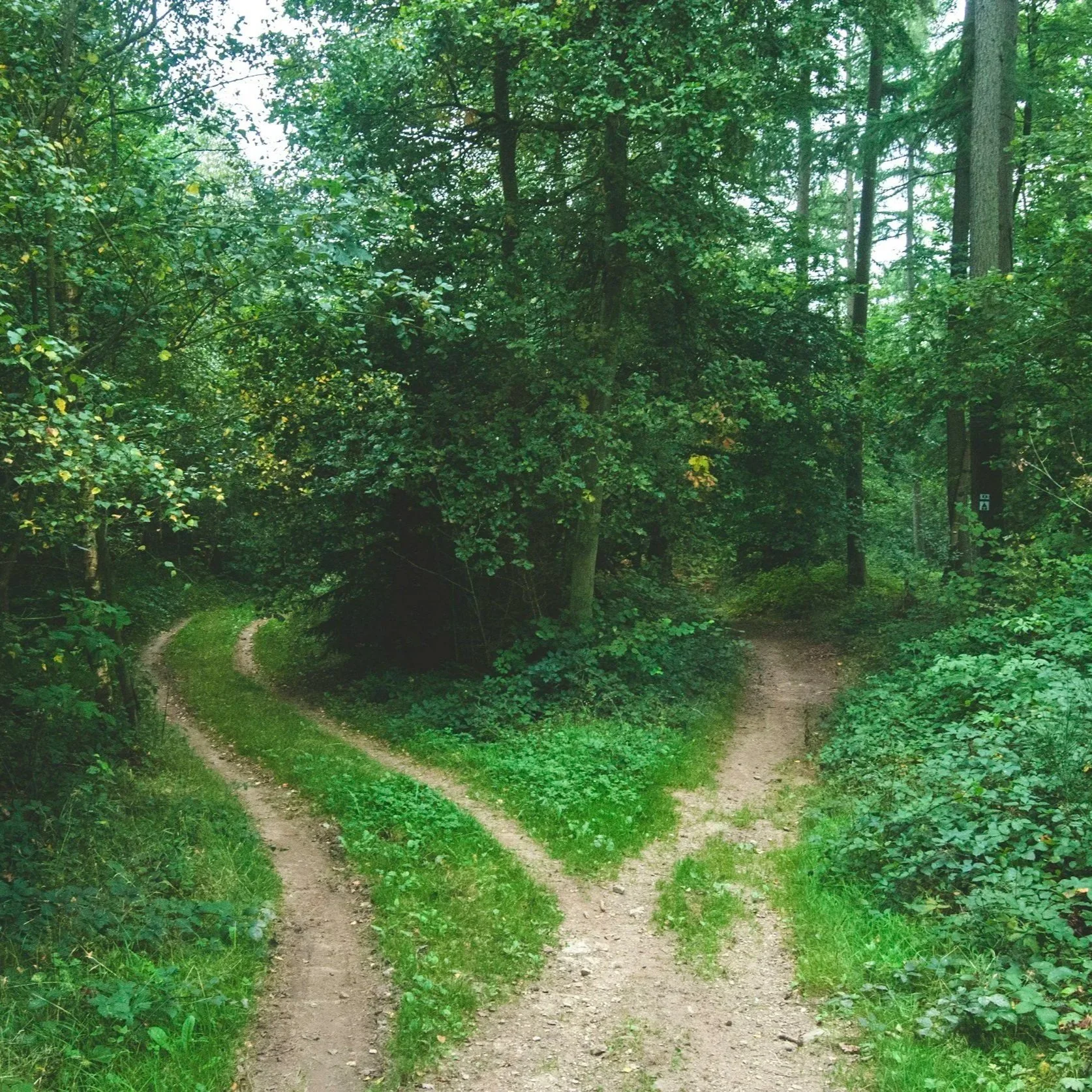 Spiritual Accompanier Resources Evenings at Whirlow Spirituality Centre 2026