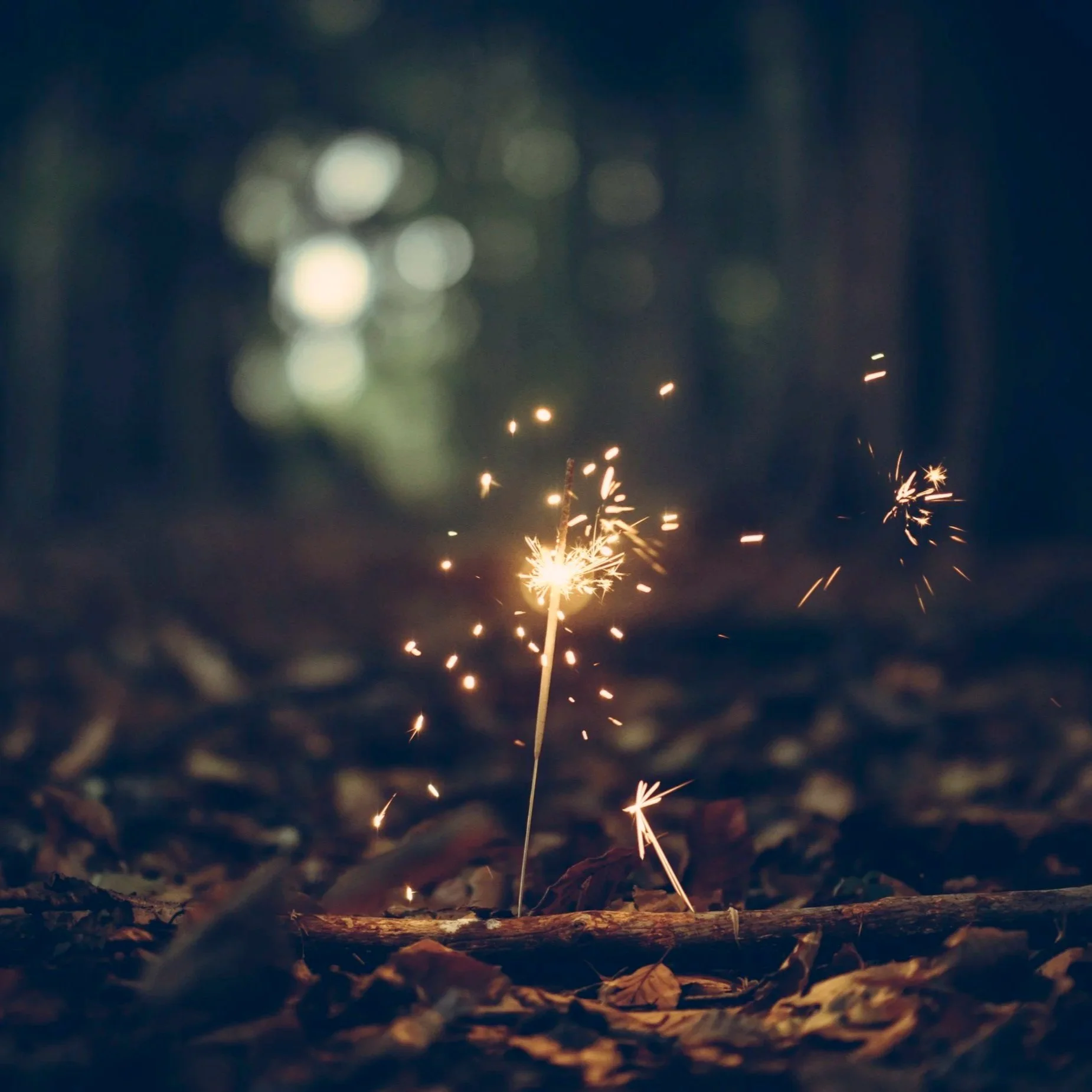 The Turn of the Year