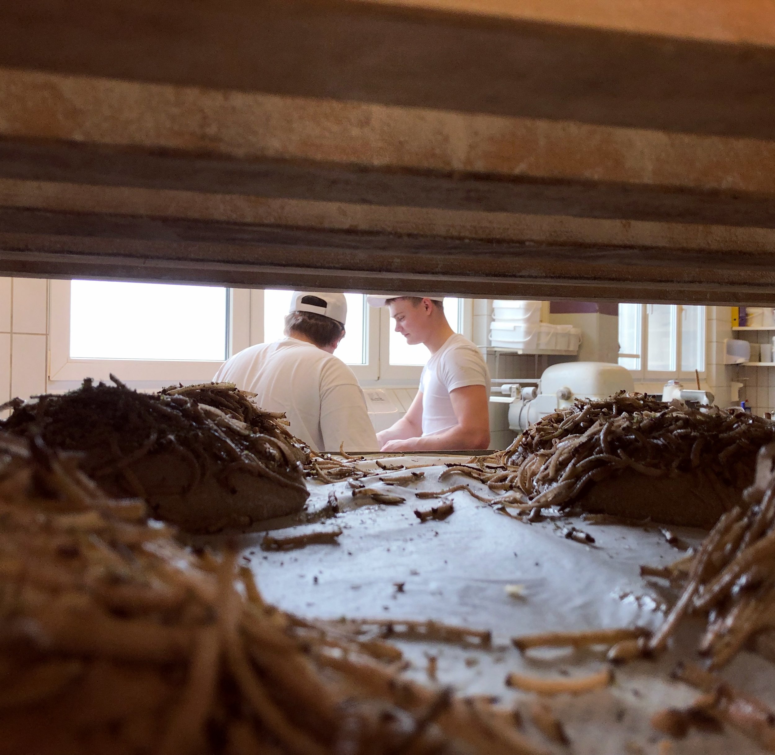 Werde Genusshandwerker im Backhaus.