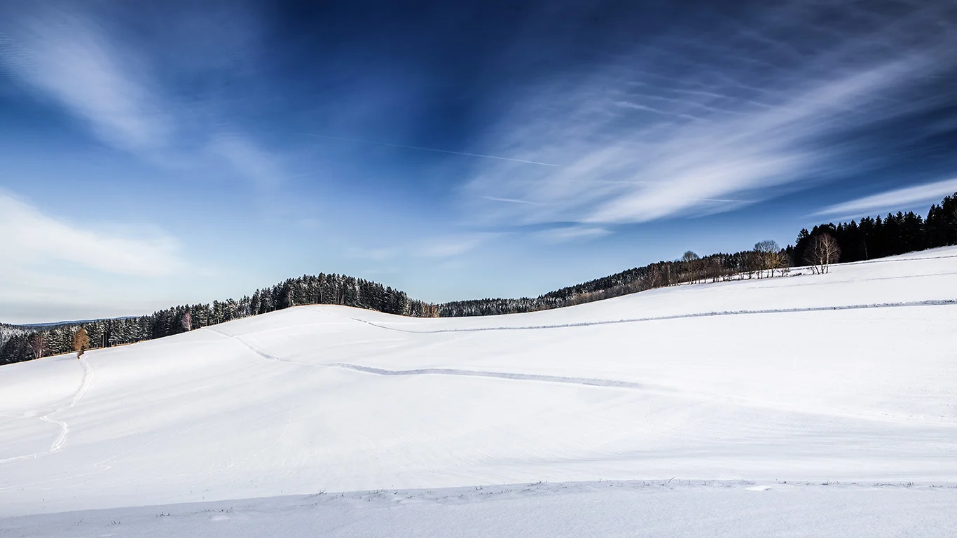 sunny-side-up-als-Smartobjekt-1.jpg