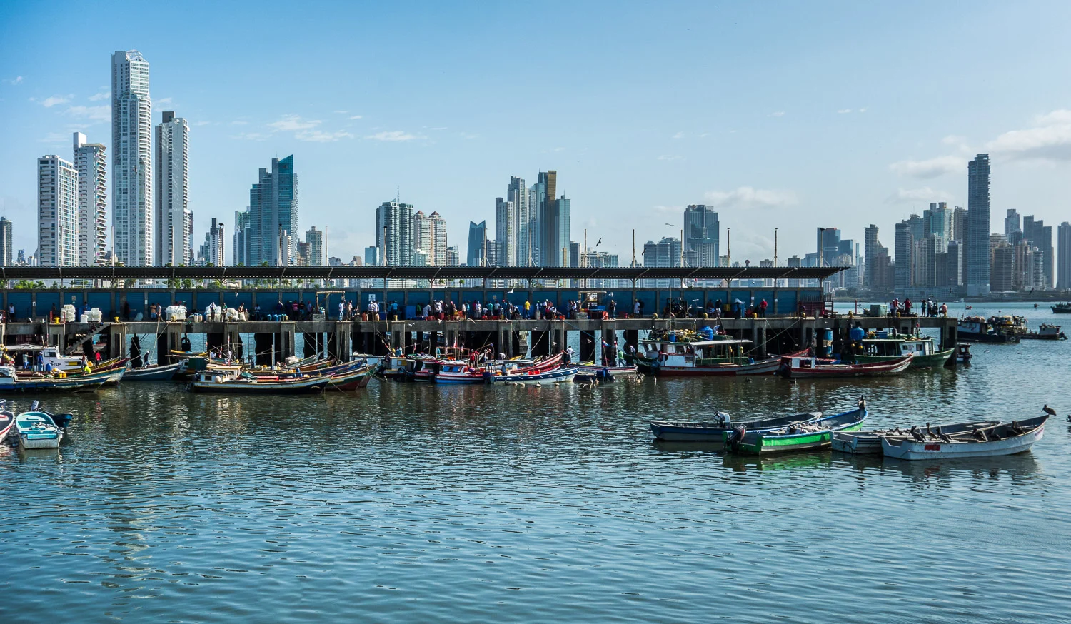 crpanama205_web.jpg