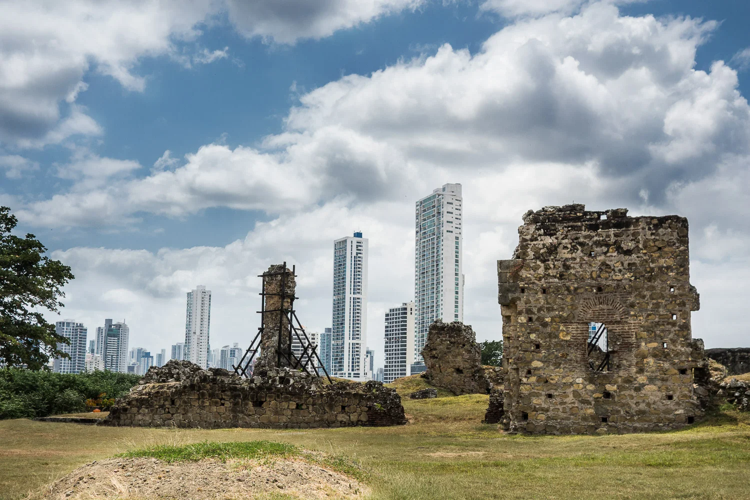 crpanama257_web.jpg