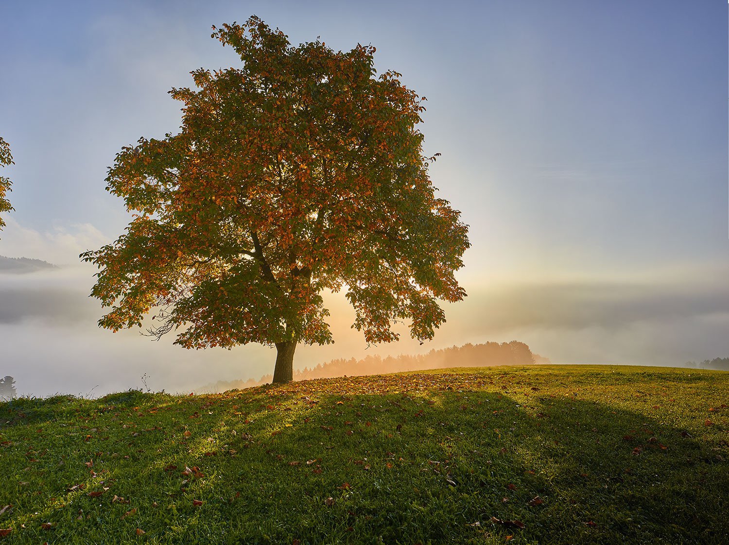 Schafzuchtverband-Herbst-(c)Alexander-Kaiser(web).jpg