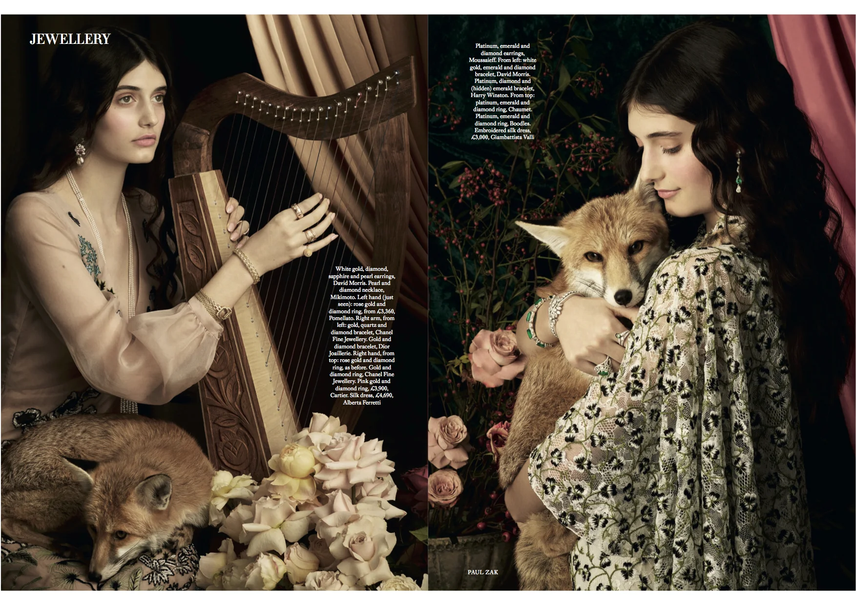 Amy Brandon OSCAR THE FOX 2 (PDF Spread).jpg