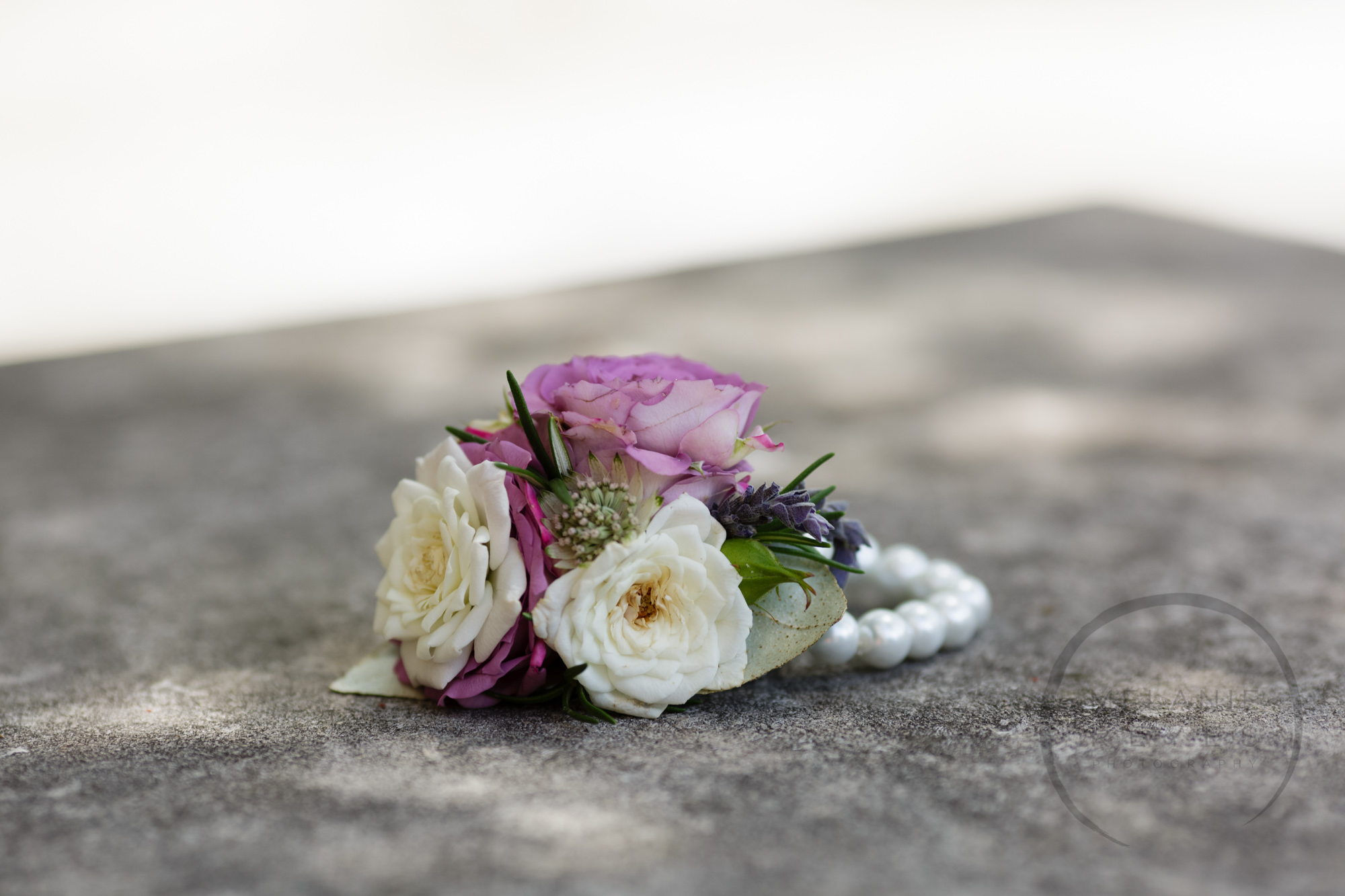 comer_earhart_manor_wedding_annarbor_009.jpg
