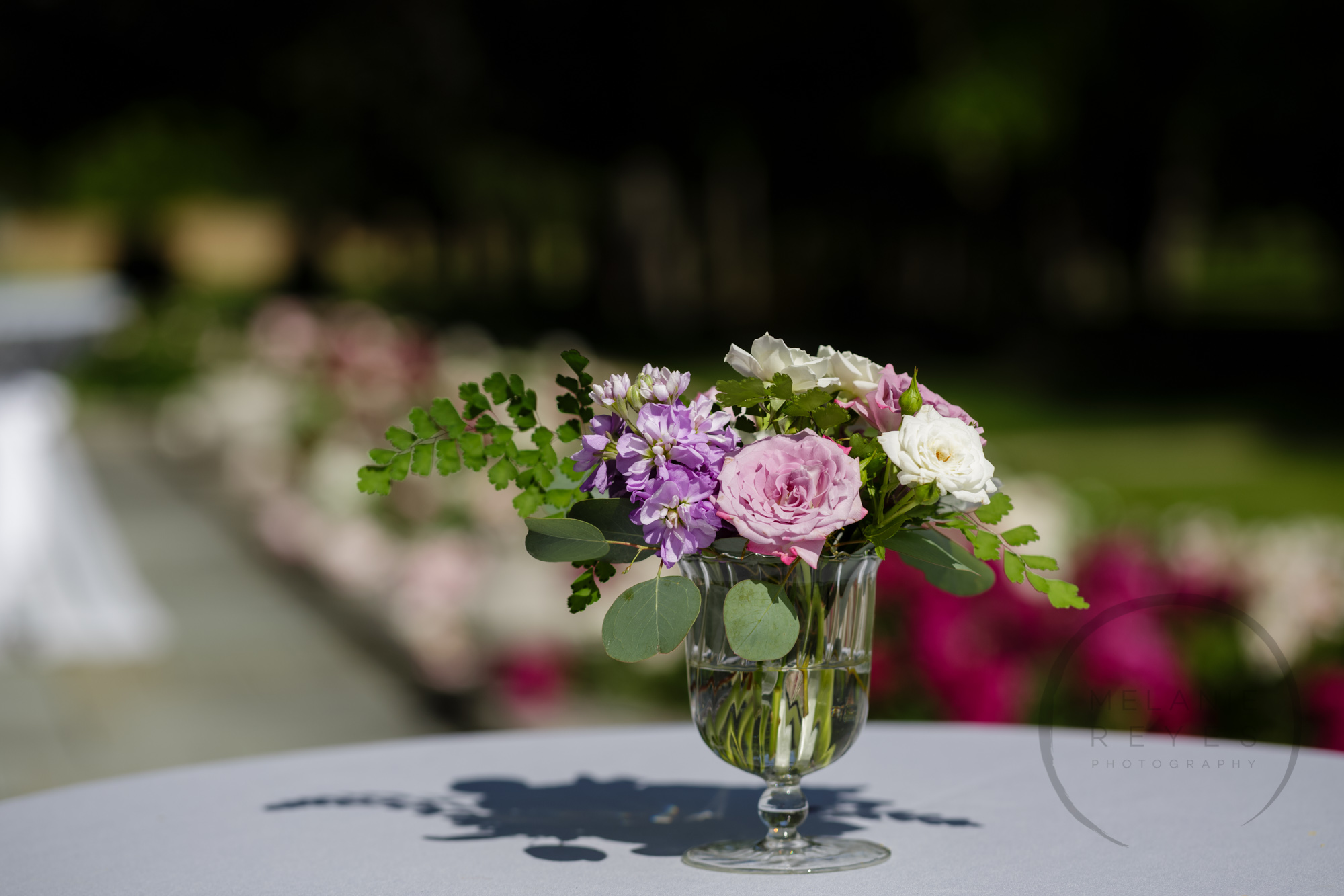comer_earhart_manor_wedding_annarbor_060.jpg