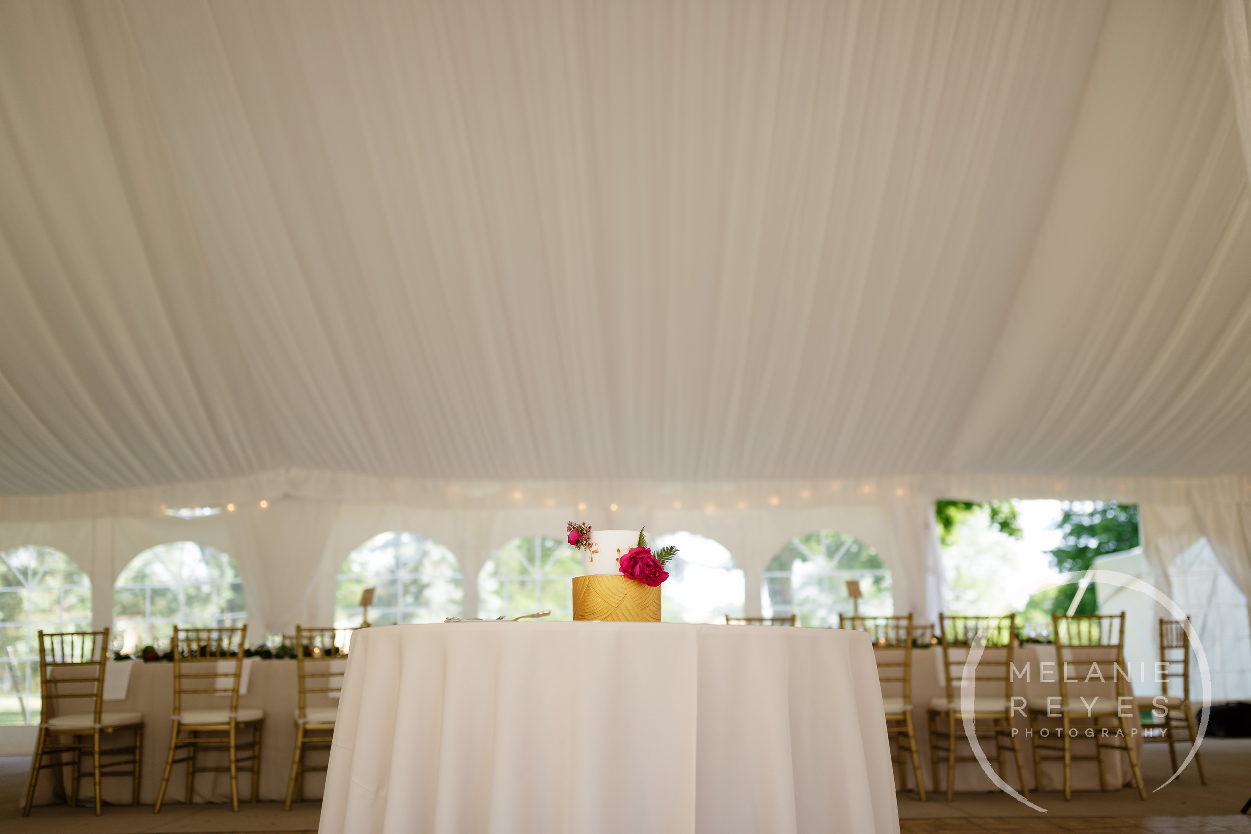 adobi2016_annarborweddingphotographer_melaniereyes_052.jpg