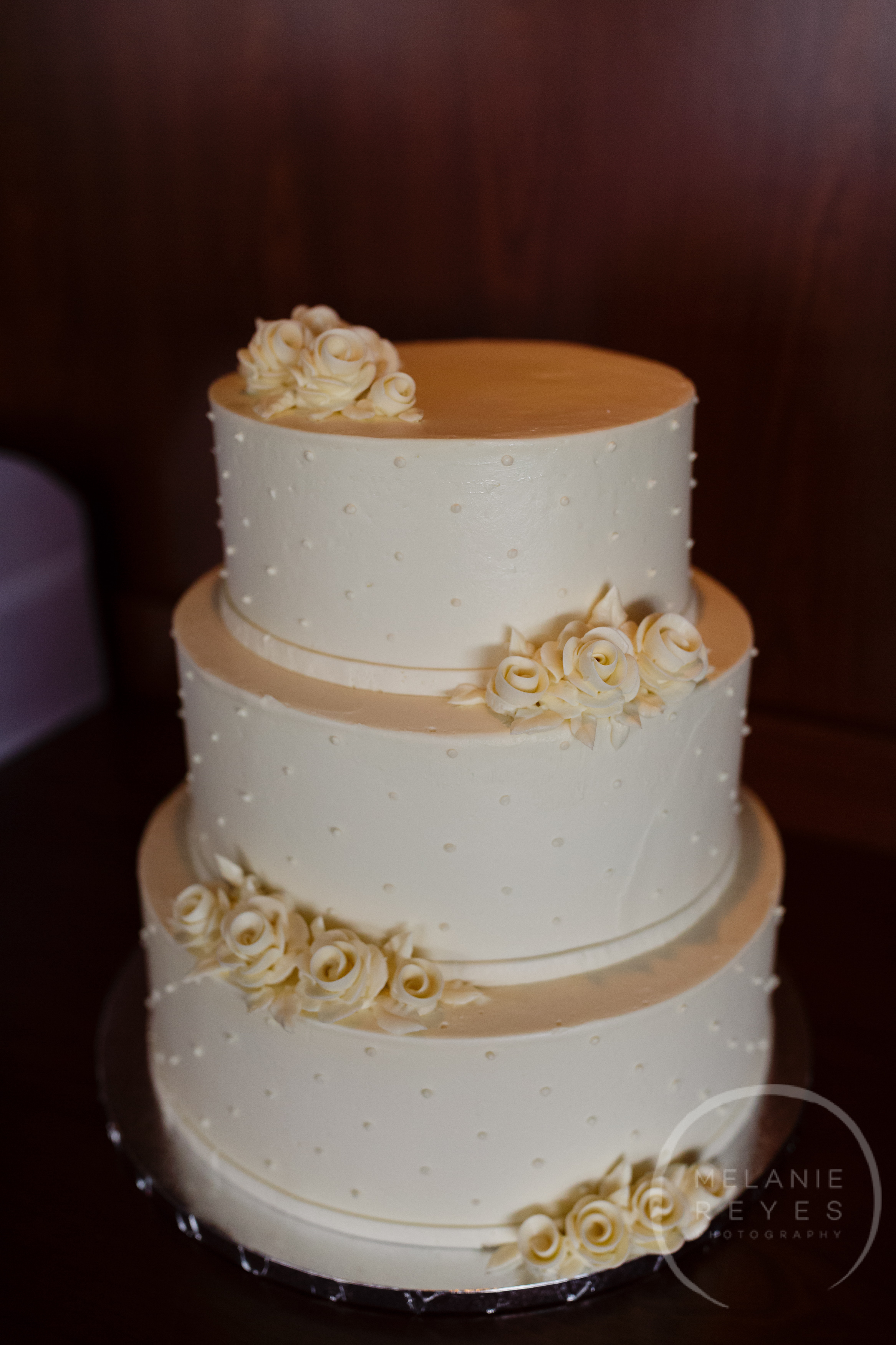infinity_ovation_yacht_wedding_detroit_melaniereyes12.jpg