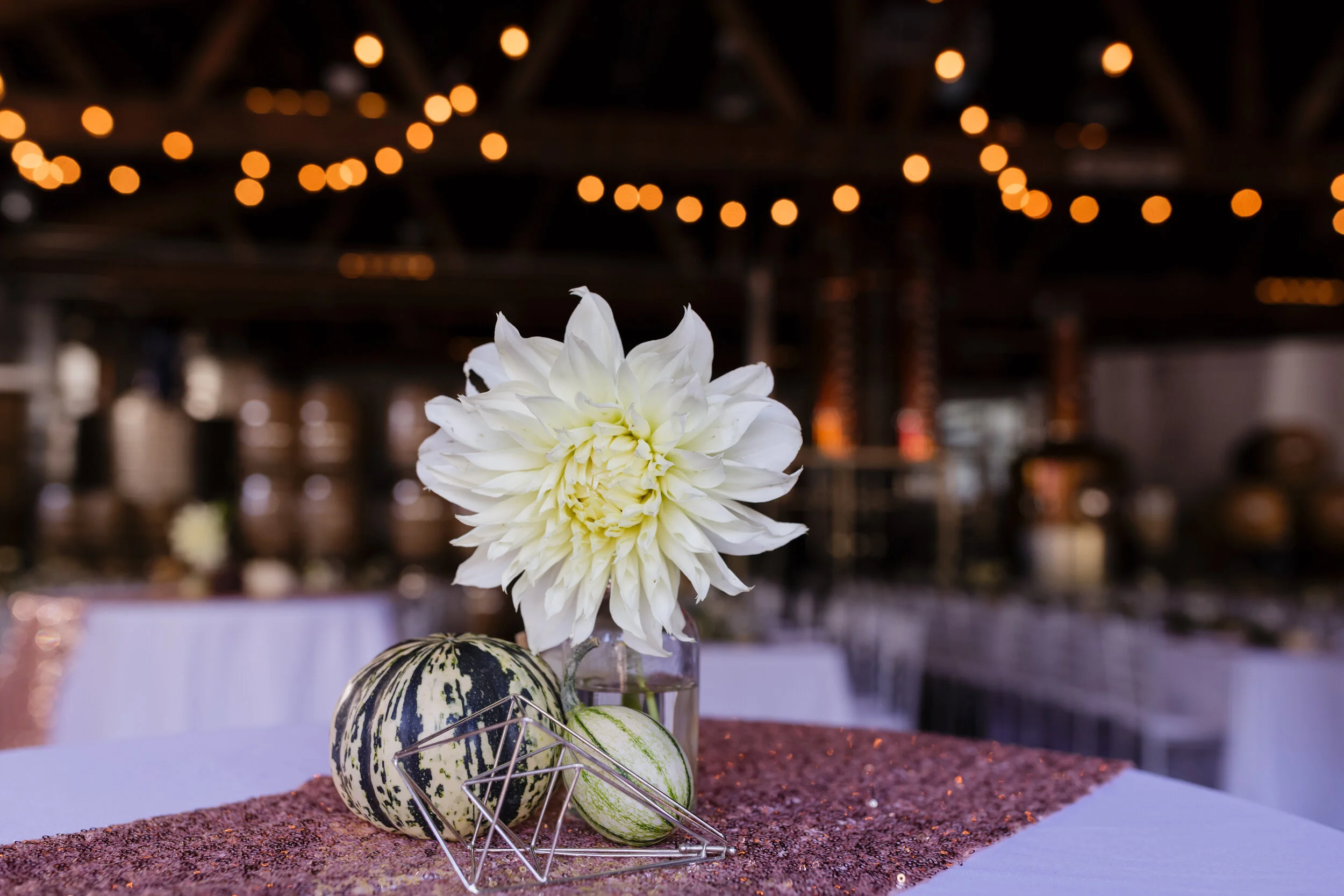 10082016_C+A_celebration_008.jpg