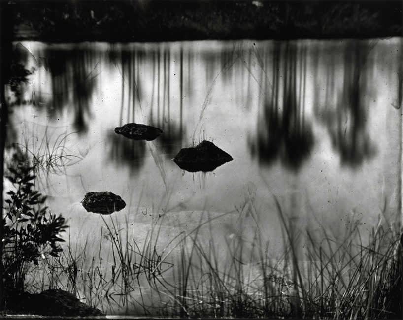 Slash Pines Reflected in Pine Glades Lake, 2010