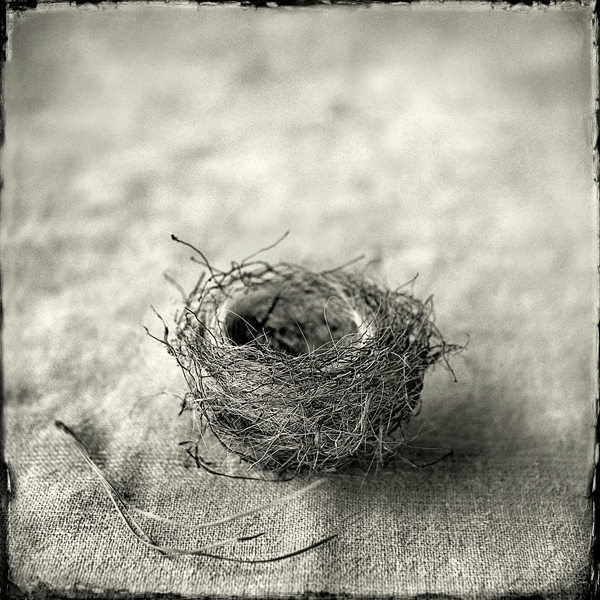 Nest #2