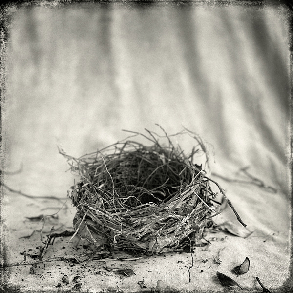 Nest #16