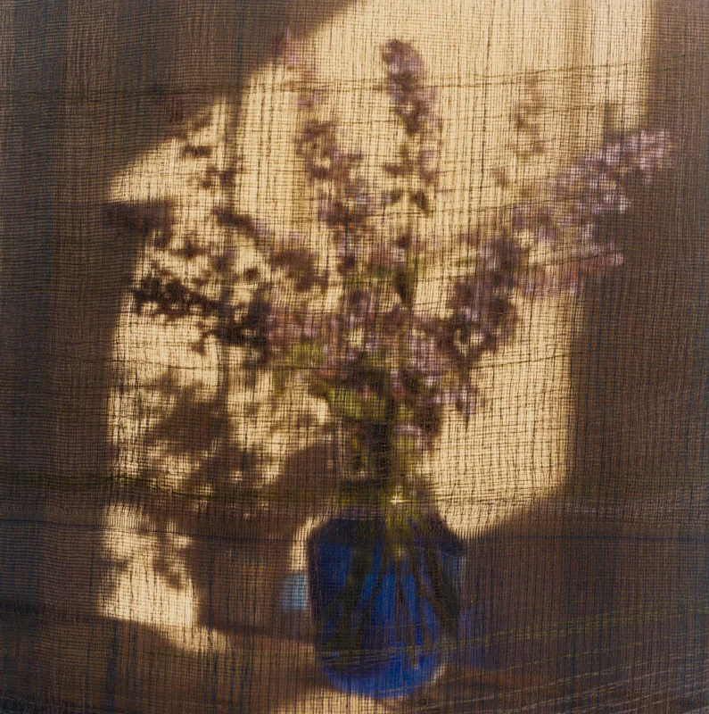 PETER C JONES - Nepeta in Blue, 2008 - W -.jpg