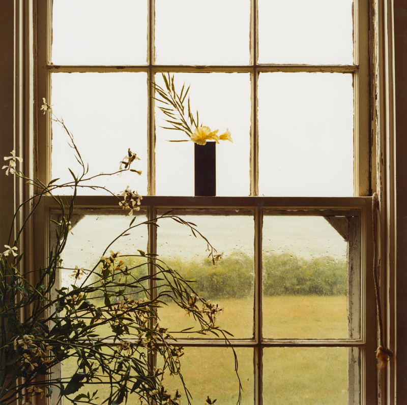 PETER C JONES - Rainy Day Nasturtiums, 2004 - W -.jpg