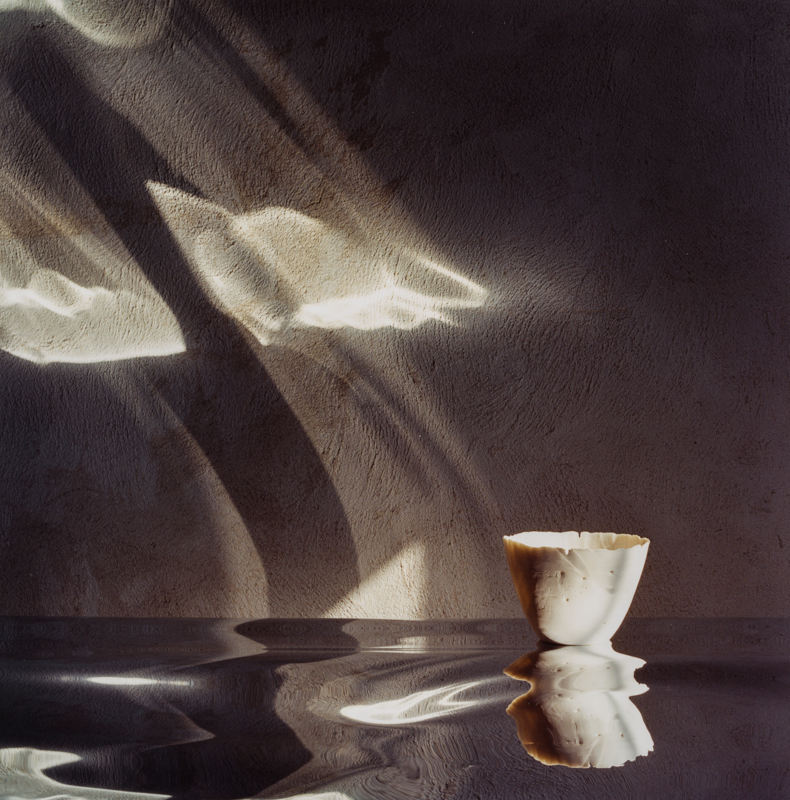 PETER C JONES - Snipe's Vessel, 2004 - W -.jpg