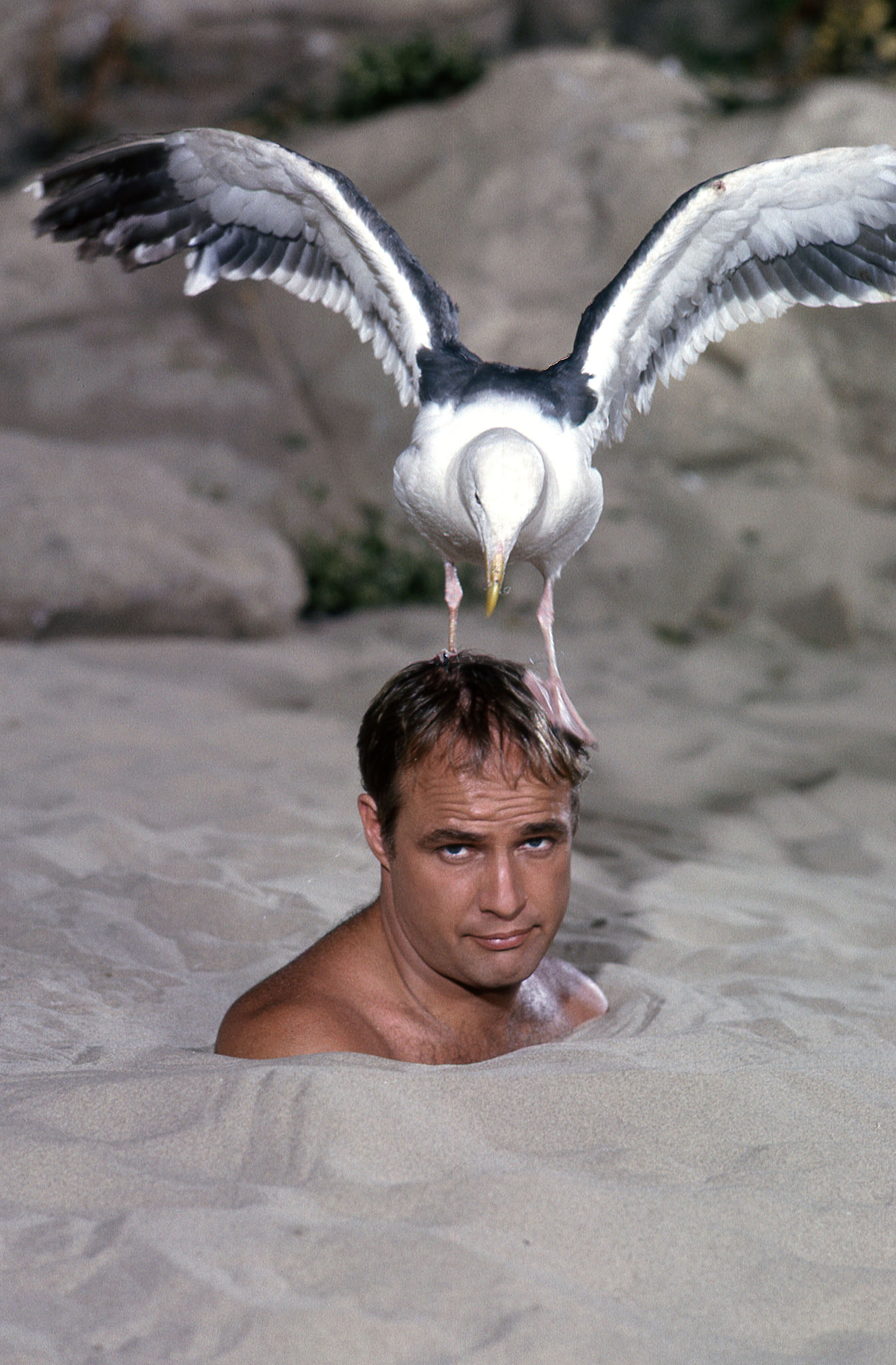 Marlon Brando, Bedtime Story, 1963