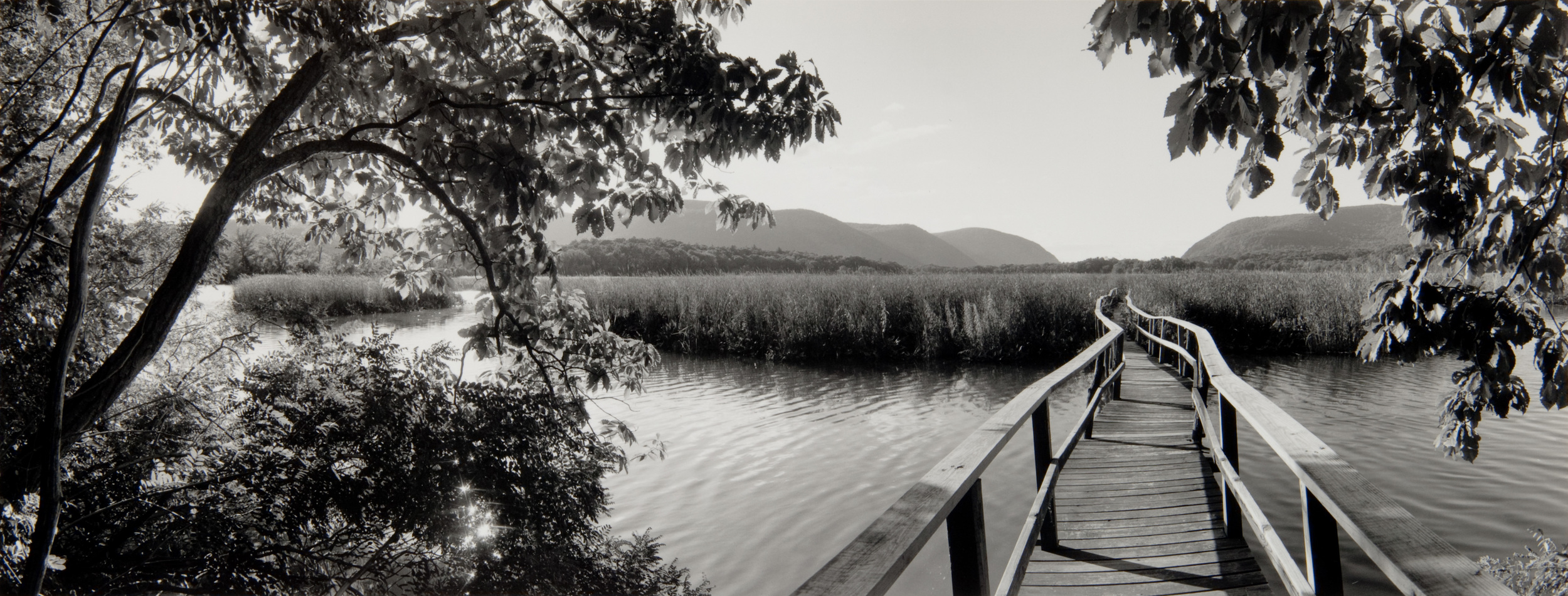 E. Lindbloom, Constitution Marsh, Cold Springs, 1995, gsp.jpg