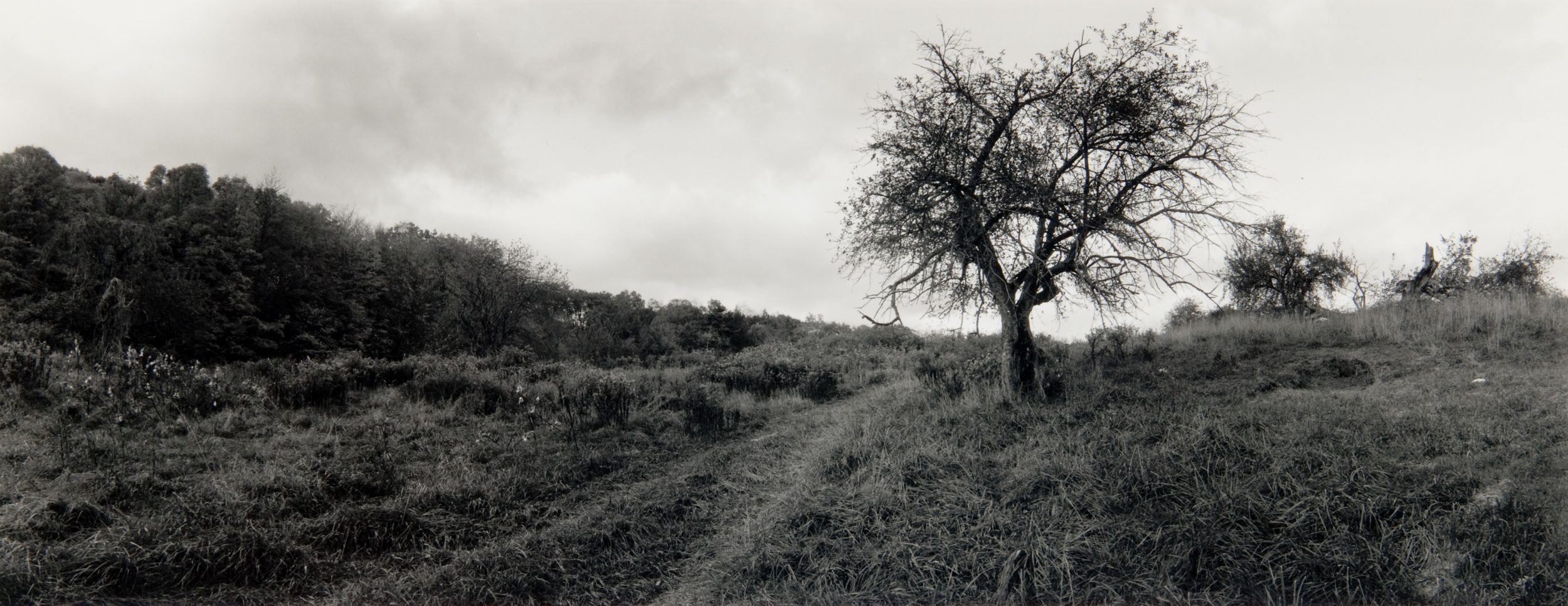 E. Lindbloom, Winston Farm, Saugerties, 1998,gsp.jpg