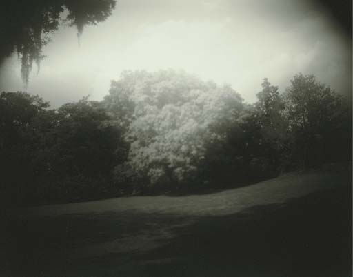 Untitled (Virginia), 1993