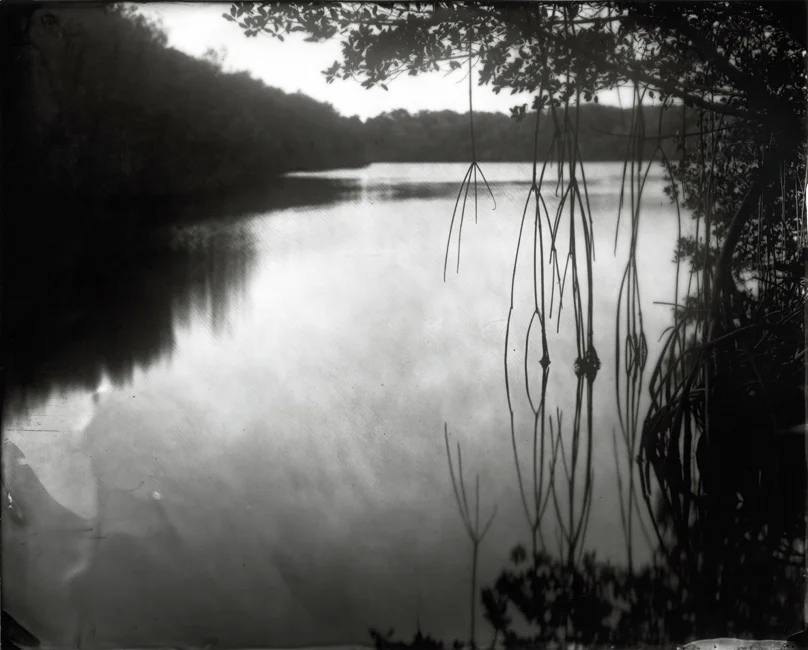 mangrovescootbay.jpg