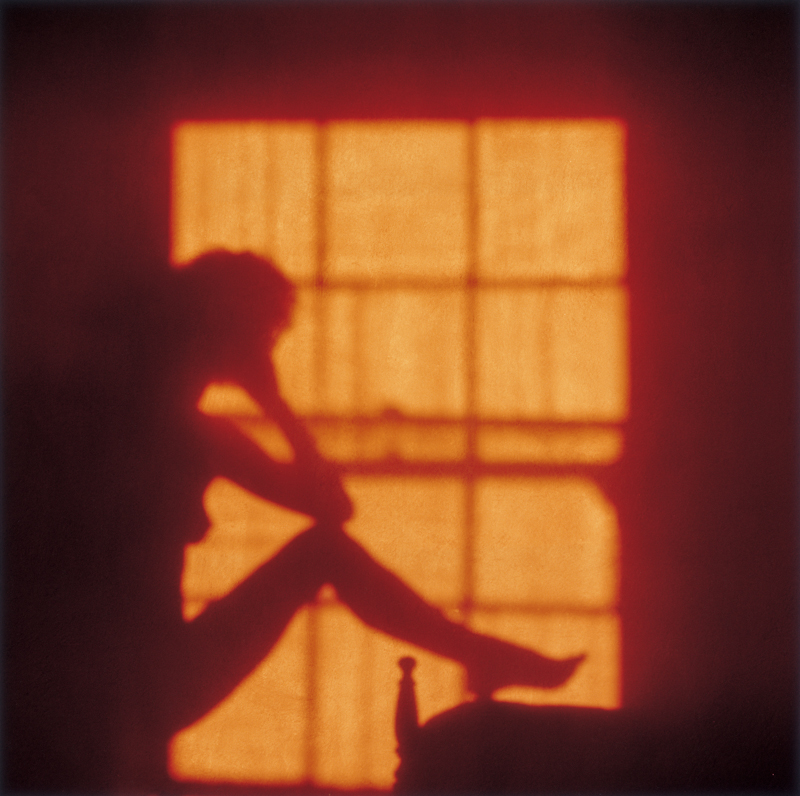 PETER C JONES - Charlotte's Shadow, 1998.png