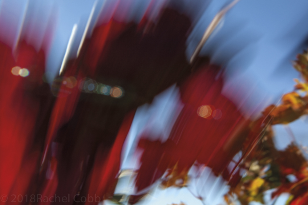 121027_065_FierceMistral B ActiveSRGB.jpg